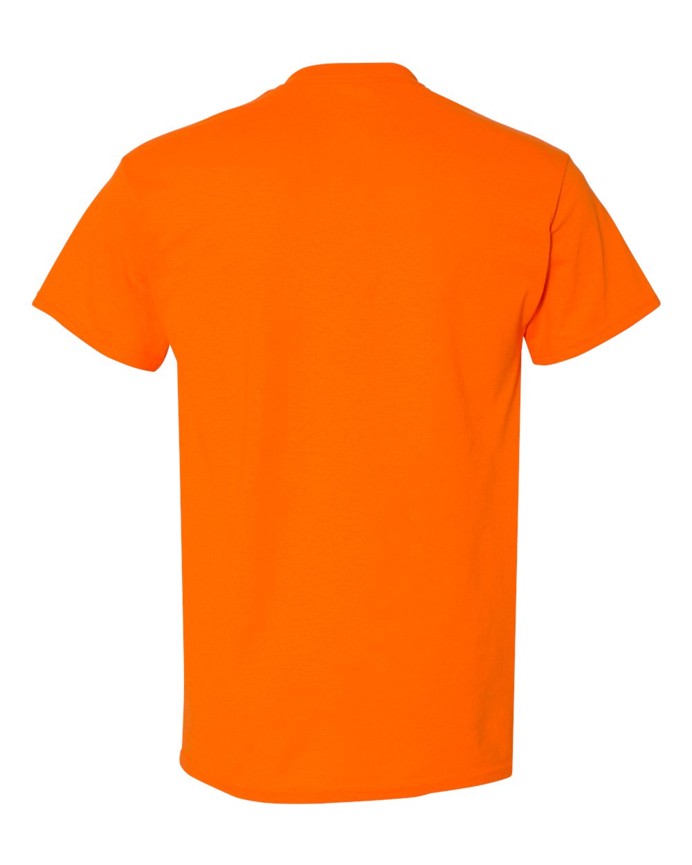 Image for 66703_b_fl.jpg