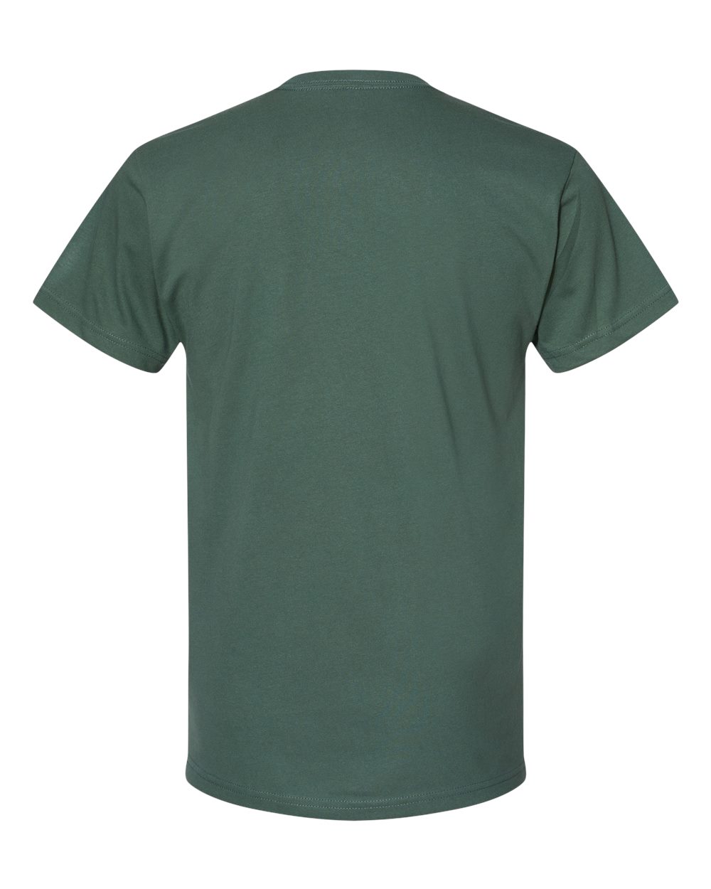 Next Level Eco Heavyweight T-Shirt - 4600