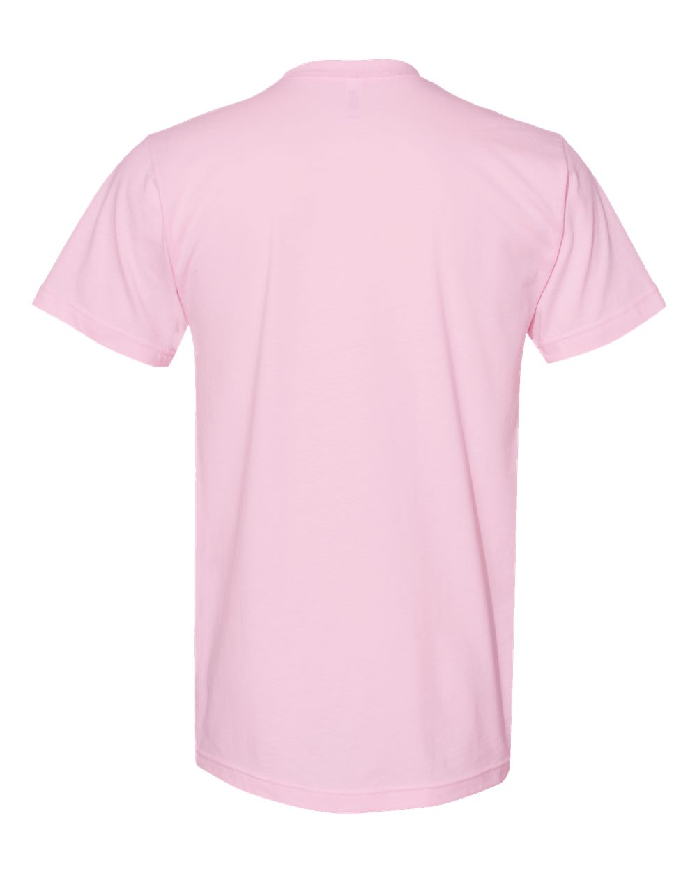 American Apparel ? Fine Jersey Unisex T-Shirt 2001