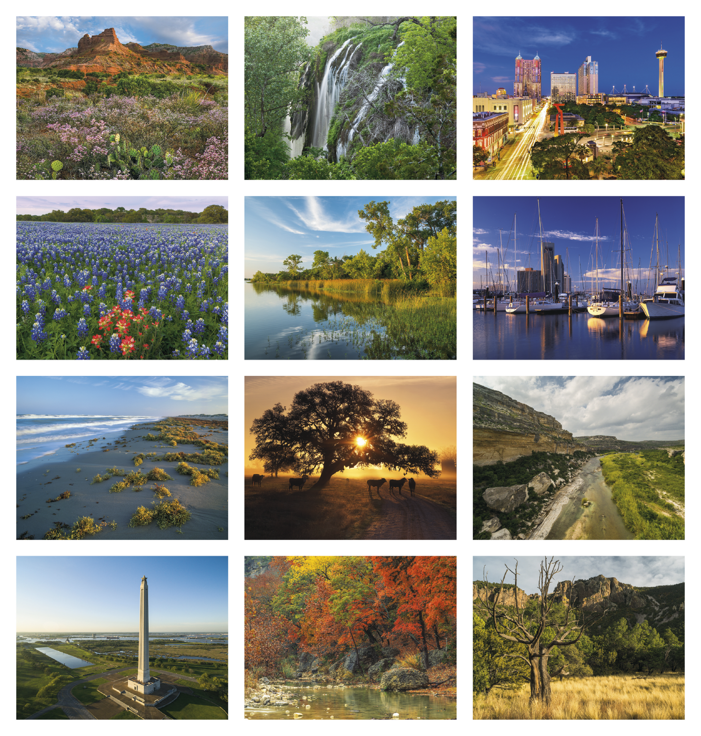 Triumph Calendars Texas Calendar-1792