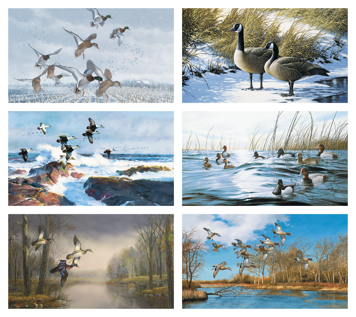 Triumph Calendars North American Waterfowl Calendar-3203