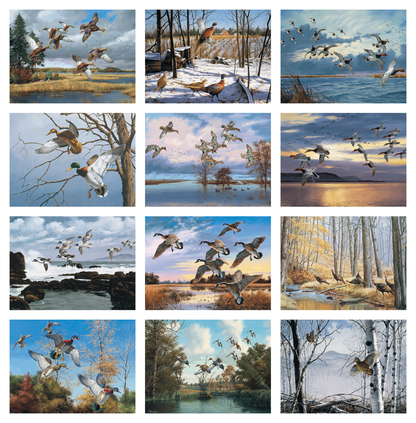 HotLine Products Maass Wildfowl Executive Calendar-614
