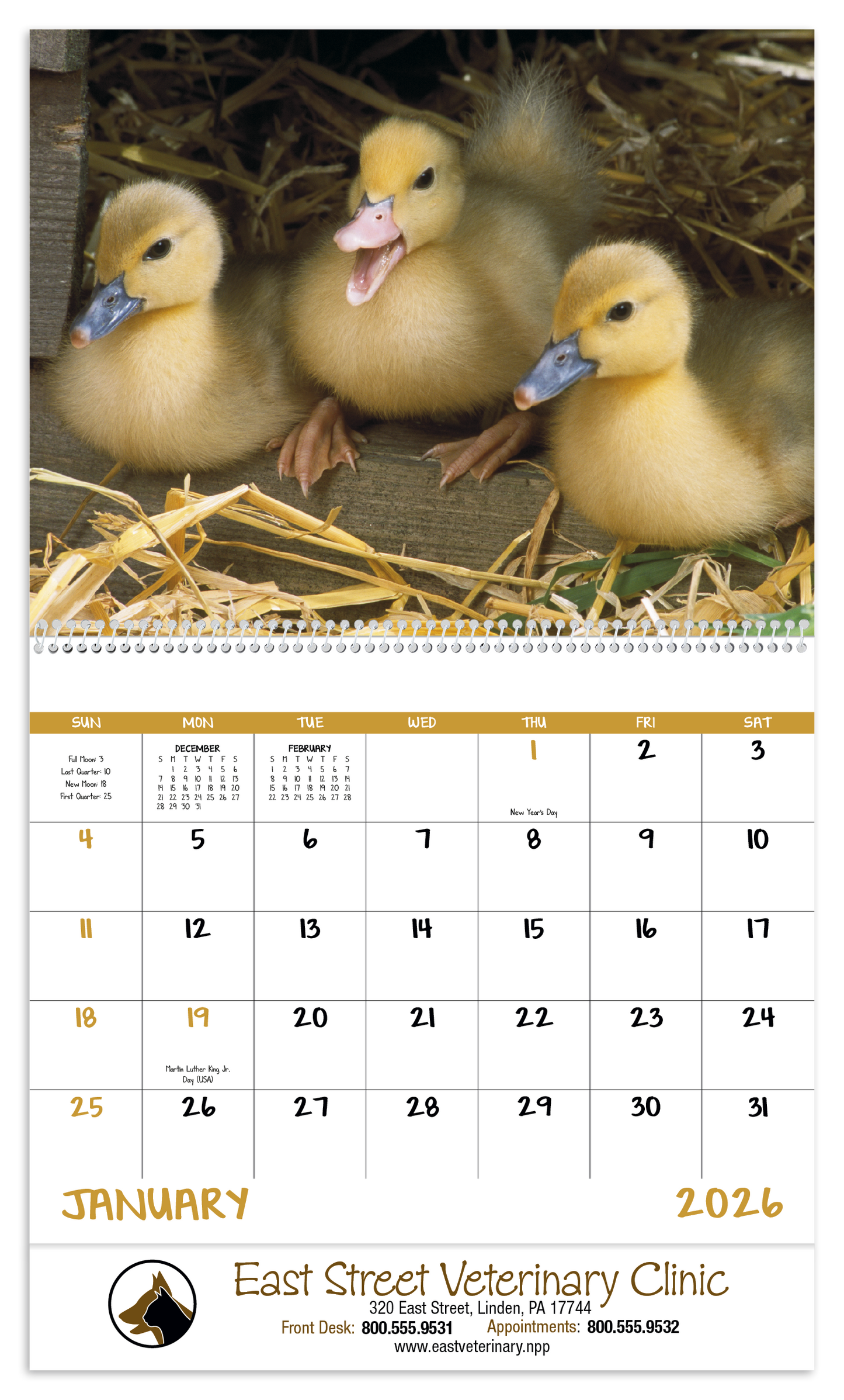Good Value Baby Farm Animals Spiral Calendar-7020