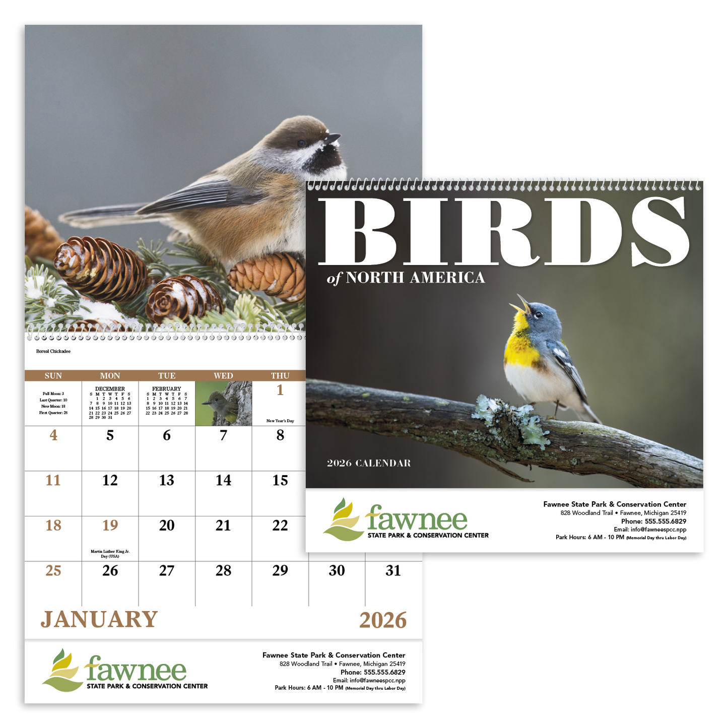 Good Value Birds of North America Spiral Calendar-7036