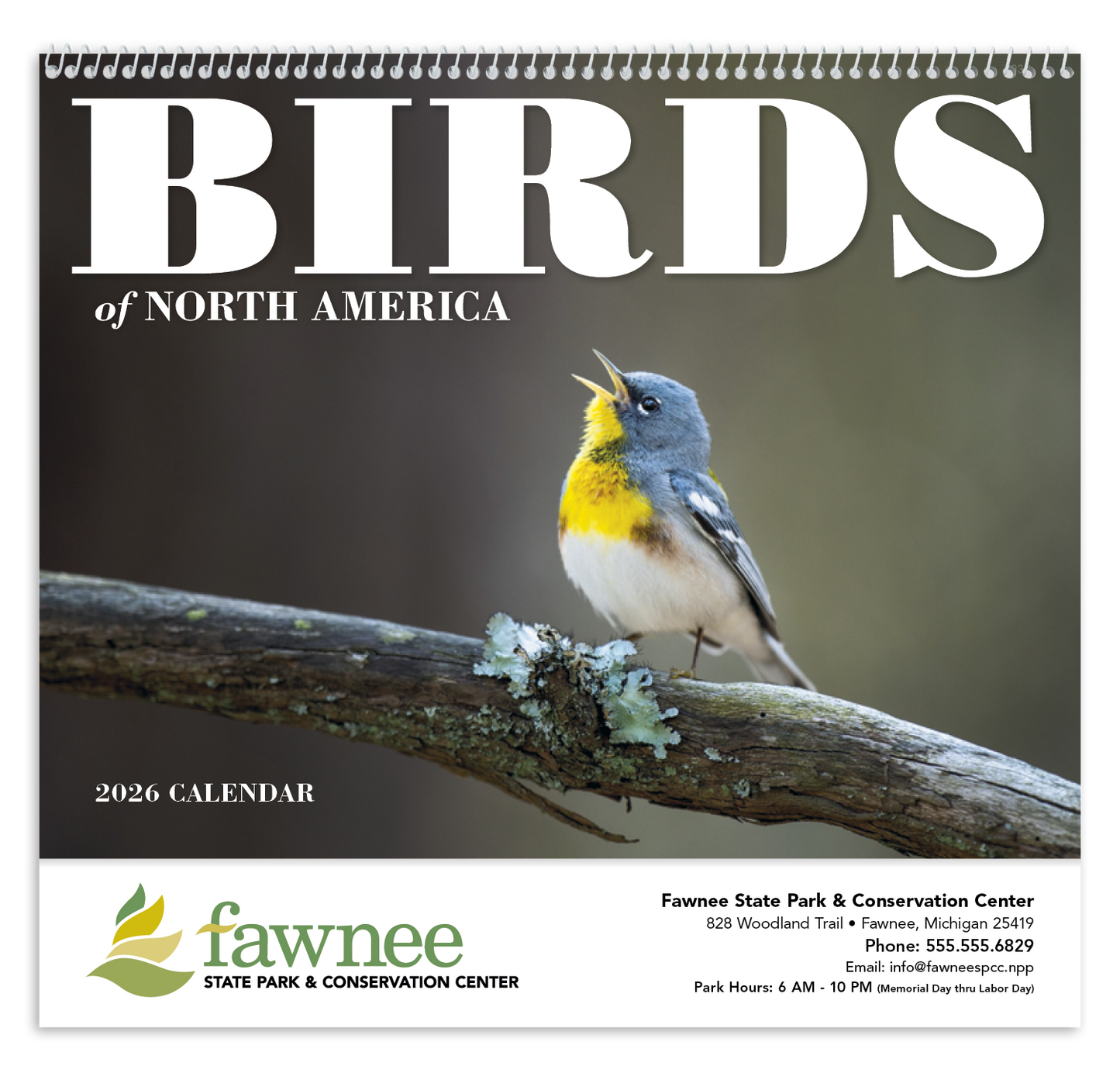 Good Value Birds of North America Spiral Calendar-7036