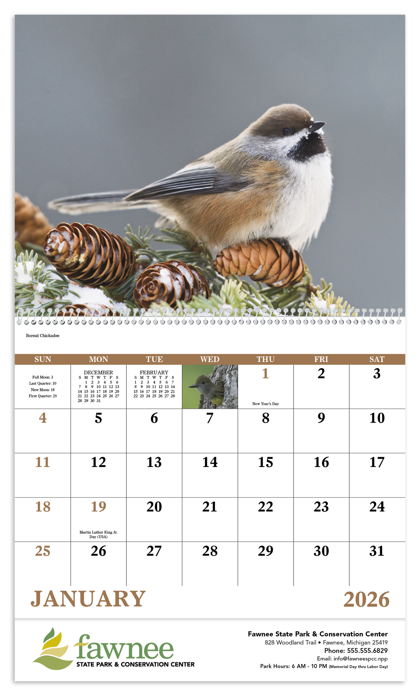 Good Value Birds of North America Spiral Calendar-7036