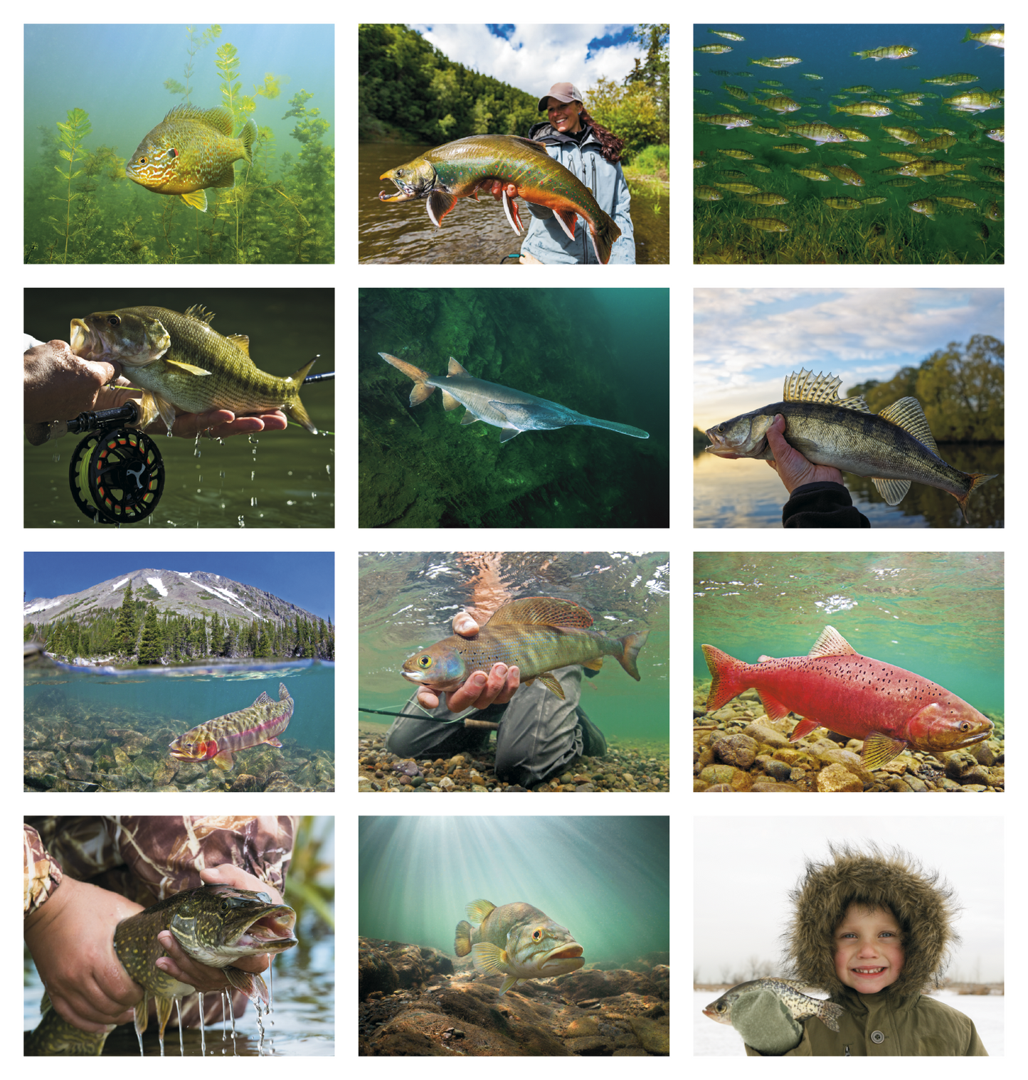 Good Value Fishing Spiral Calendar-7099