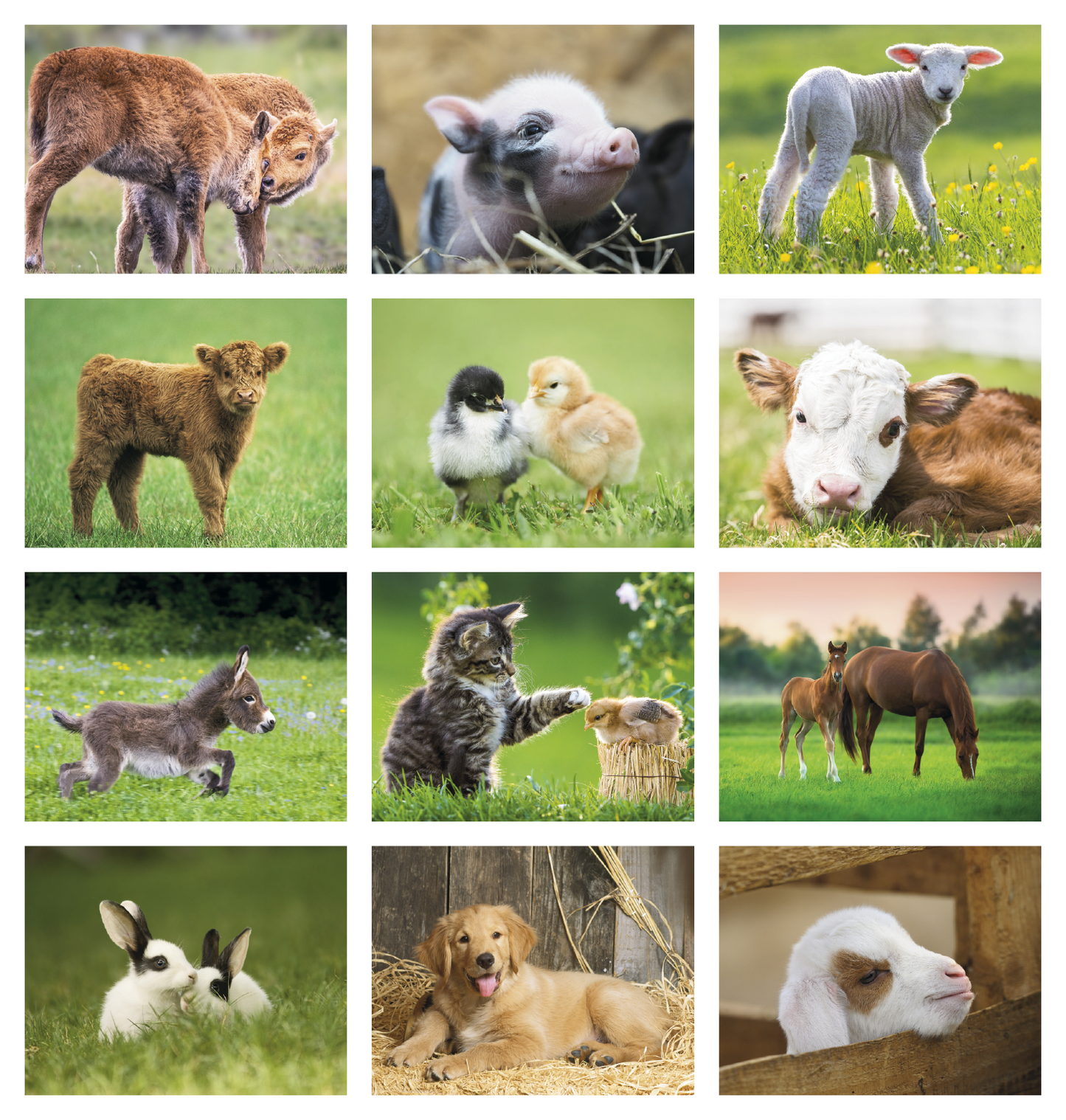 Good Value Baby Farm Animals Stapled Calendar-7220