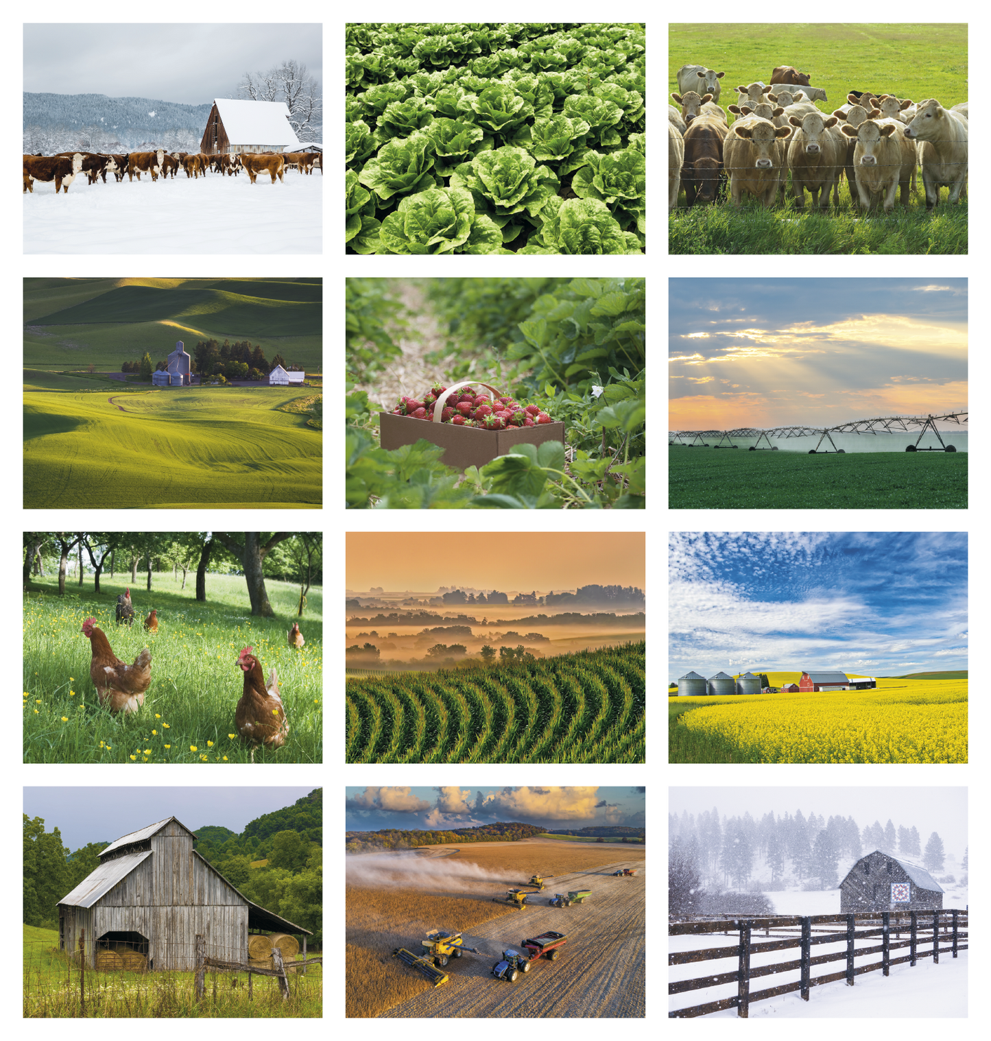 Good Value Agriculture Stapled Calendar-7247