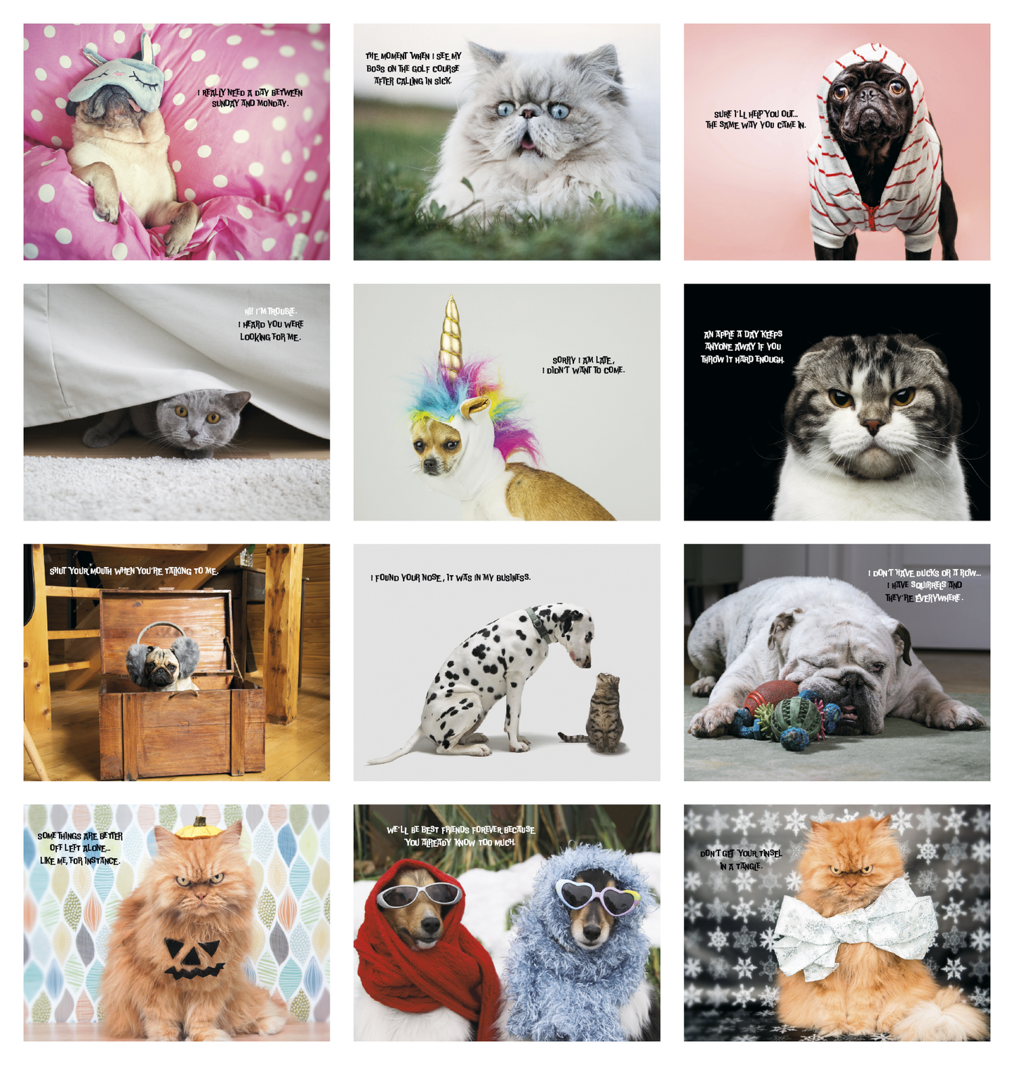 Good Value Pets with Attitude Stapled Calendar-7286