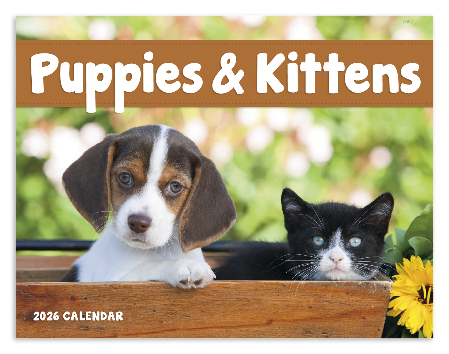 Good Value Puppies Kittens Window Calendar-7507