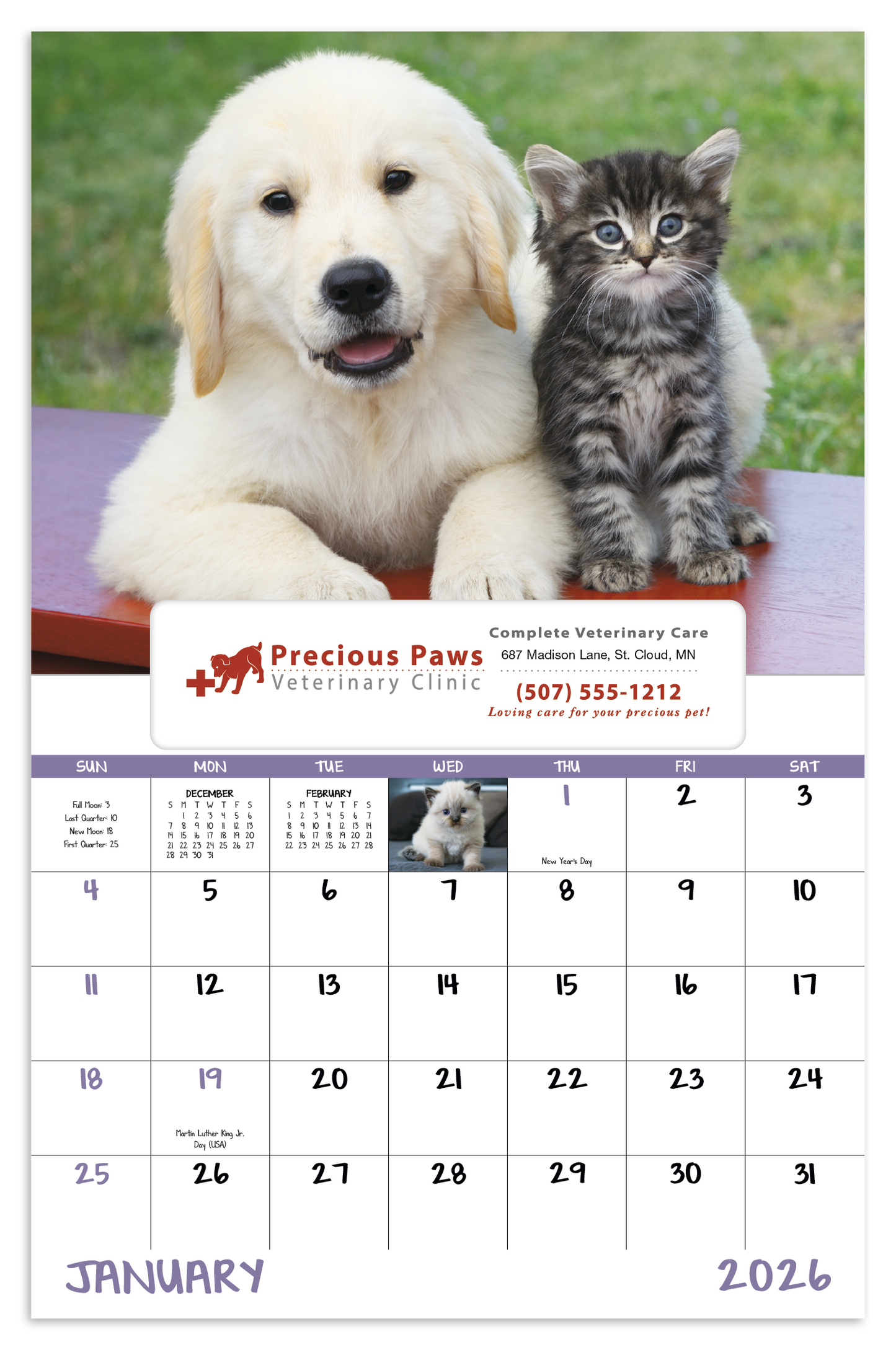 Good Value Puppies Kittens Window Calendar-7507