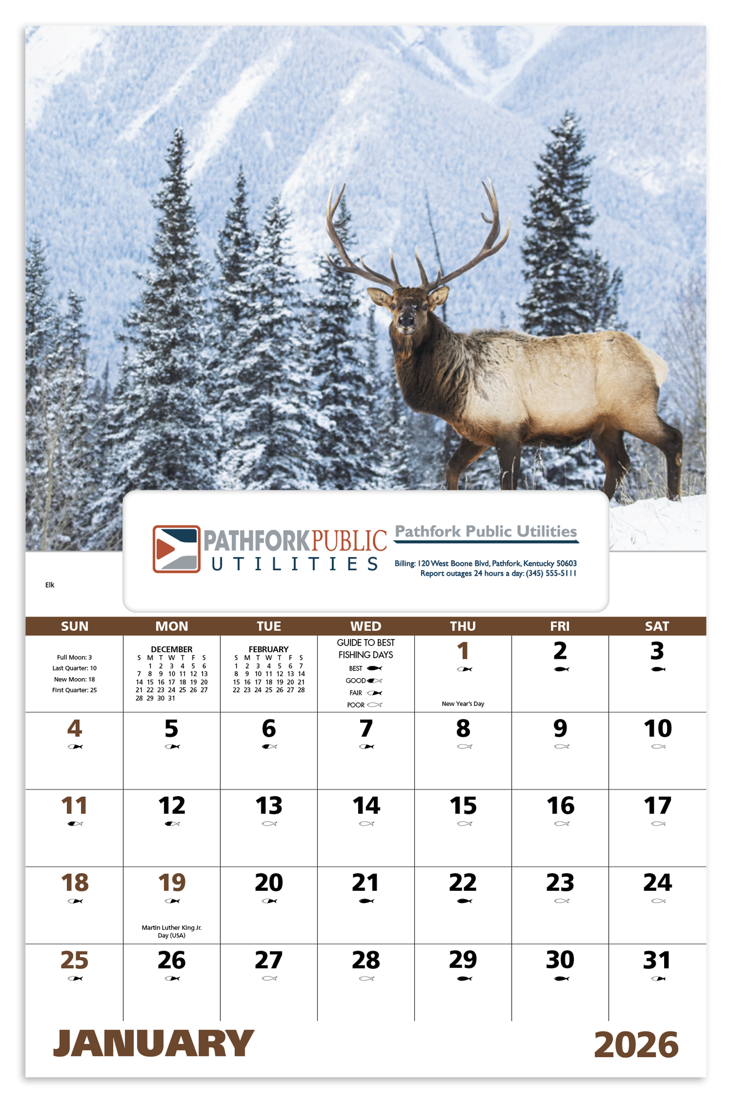 Good Value Wildlife Portraits Window Calendar-7563