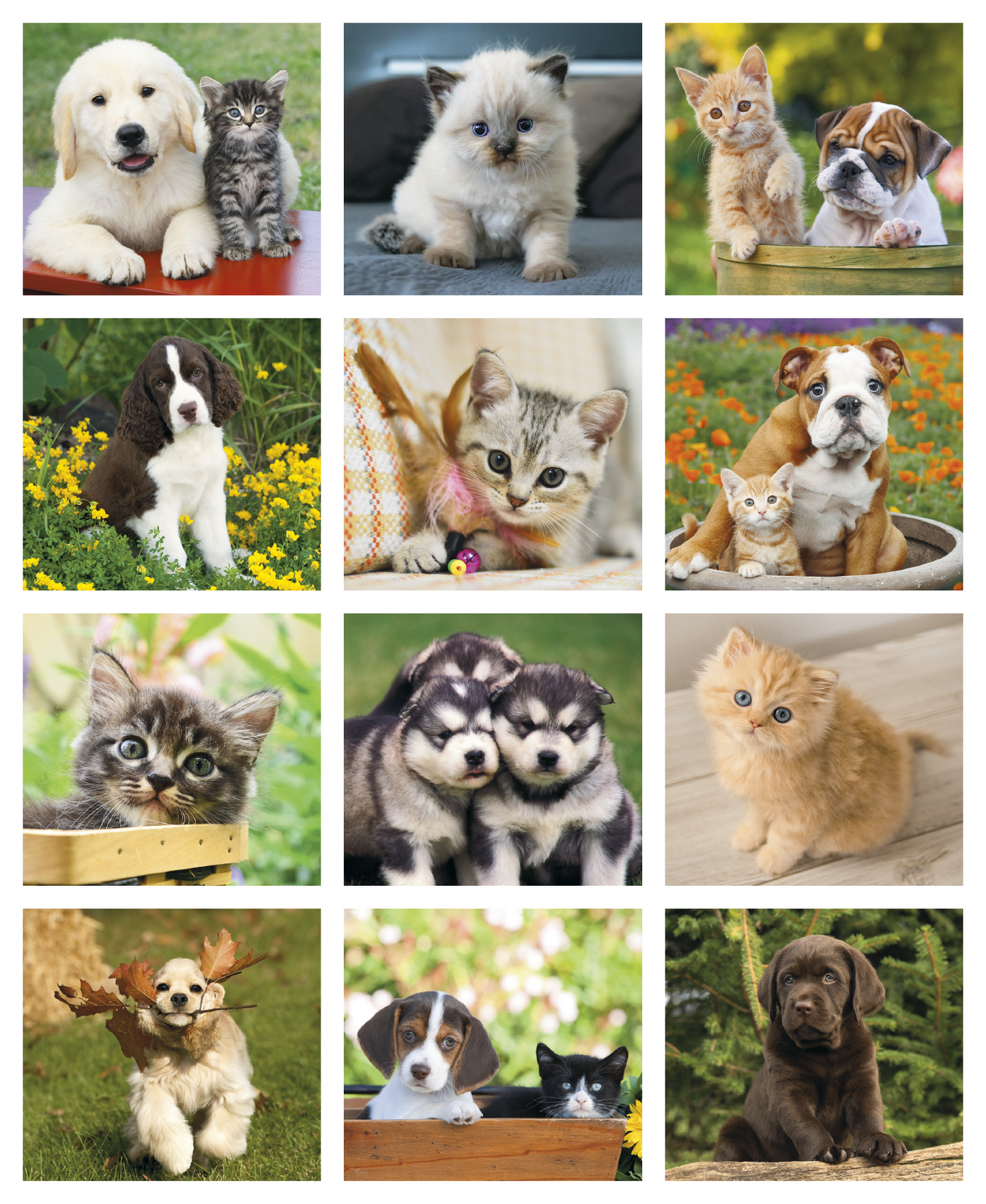 Good Value Puppies Kittens Mini Calendar-7708
