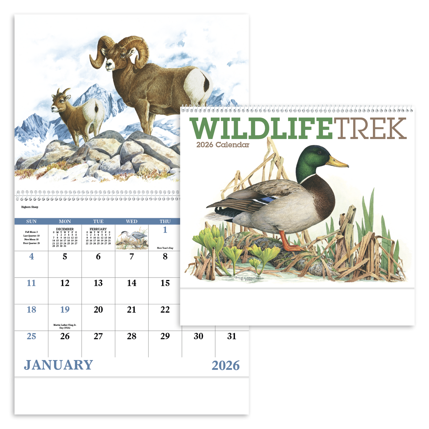 Good Value Wildlife Trek Spiral Calendar-7003