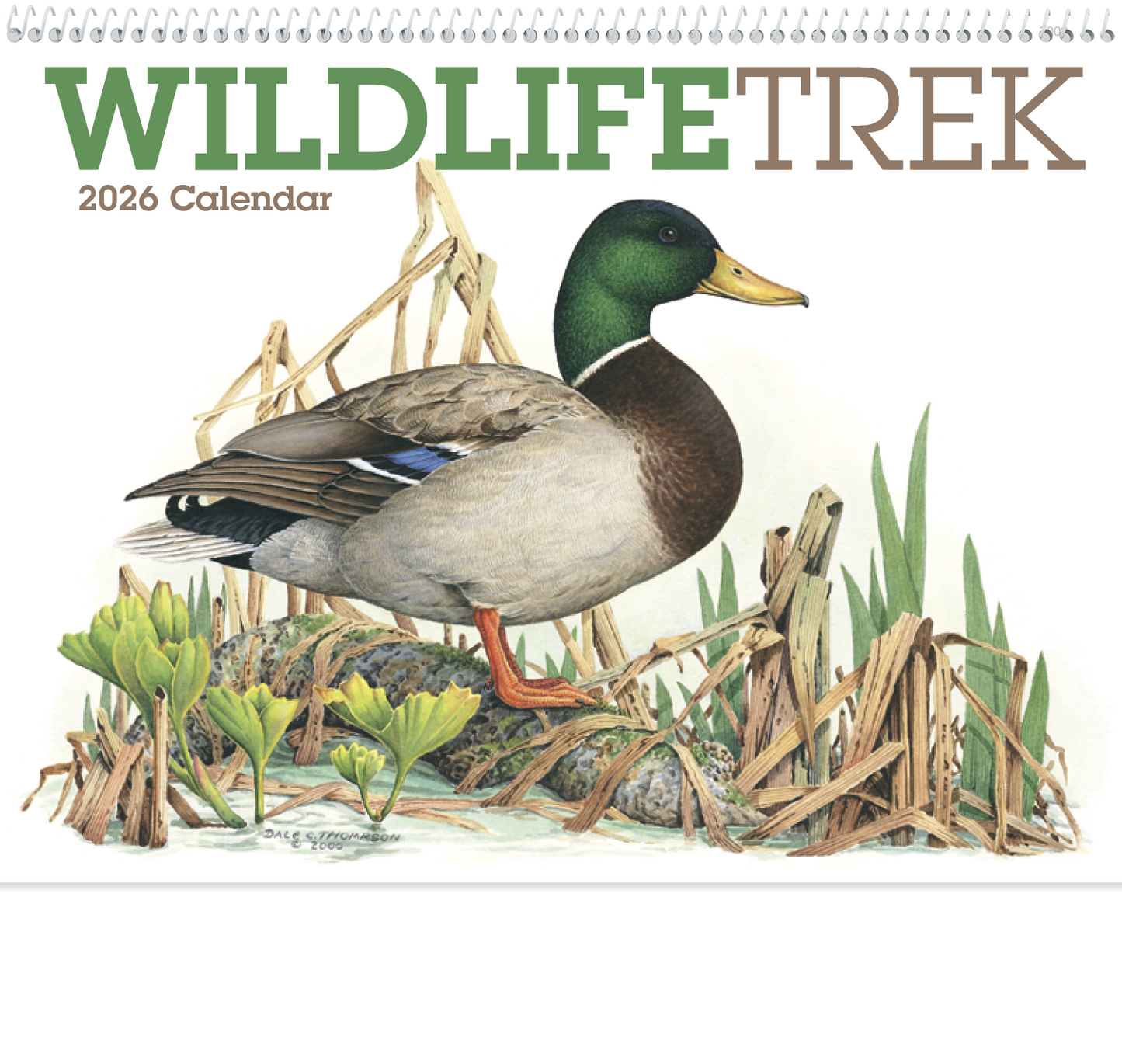 Good Value Wildlife Trek Spiral Calendar-7003