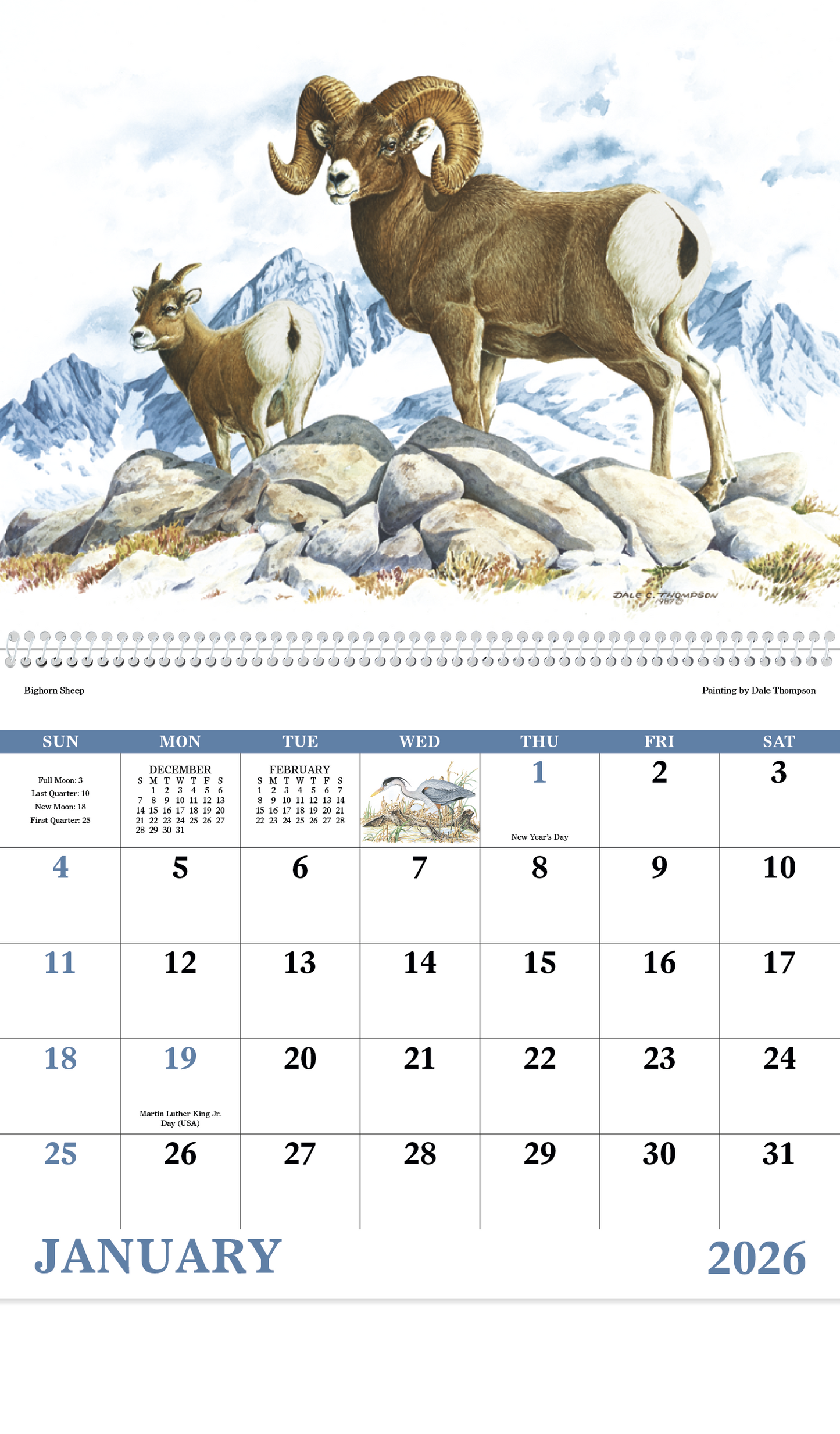 Good Value Wildlife Trek Spiral Calendar-7003
