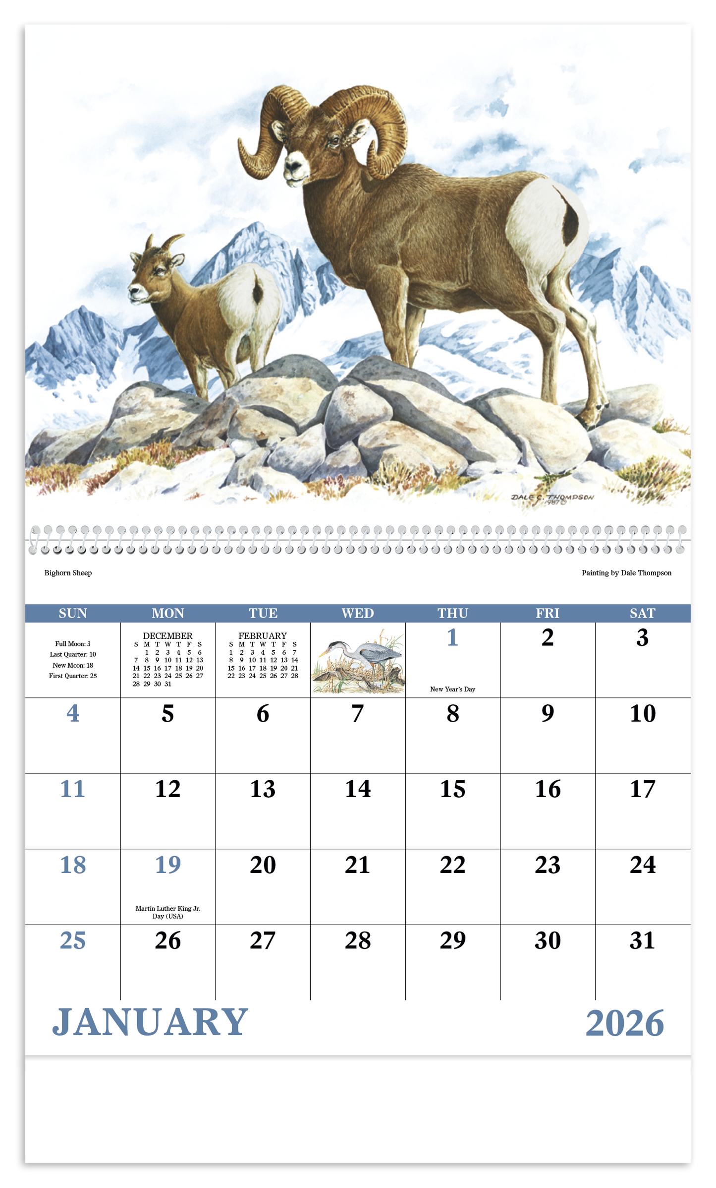 Good Value Wildlife Trek Spiral Calendar-7003