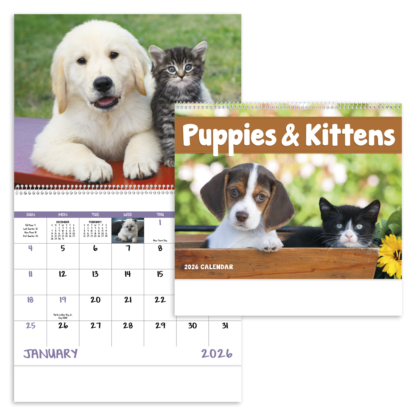 Good Value Puppies Kittens Spiral Calendar-7007