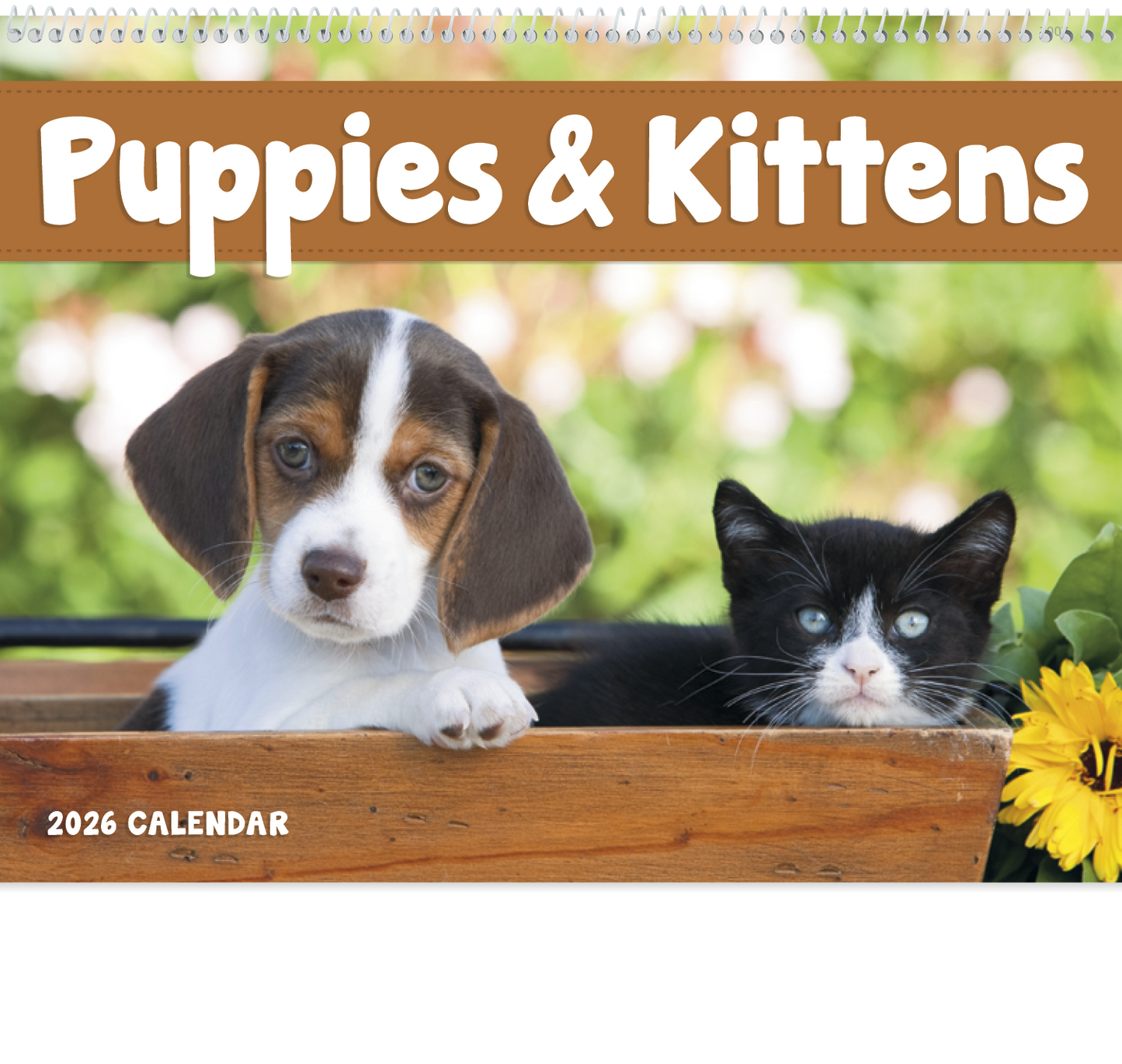 Good Value Puppies Kittens Spiral Calendar-7007