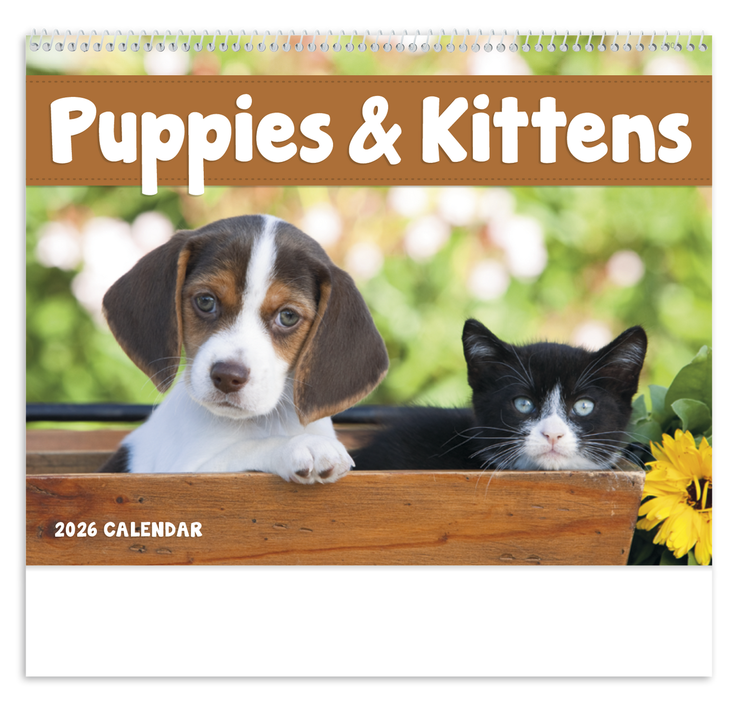 Good Value Puppies Kittens Spiral Calendar-7007