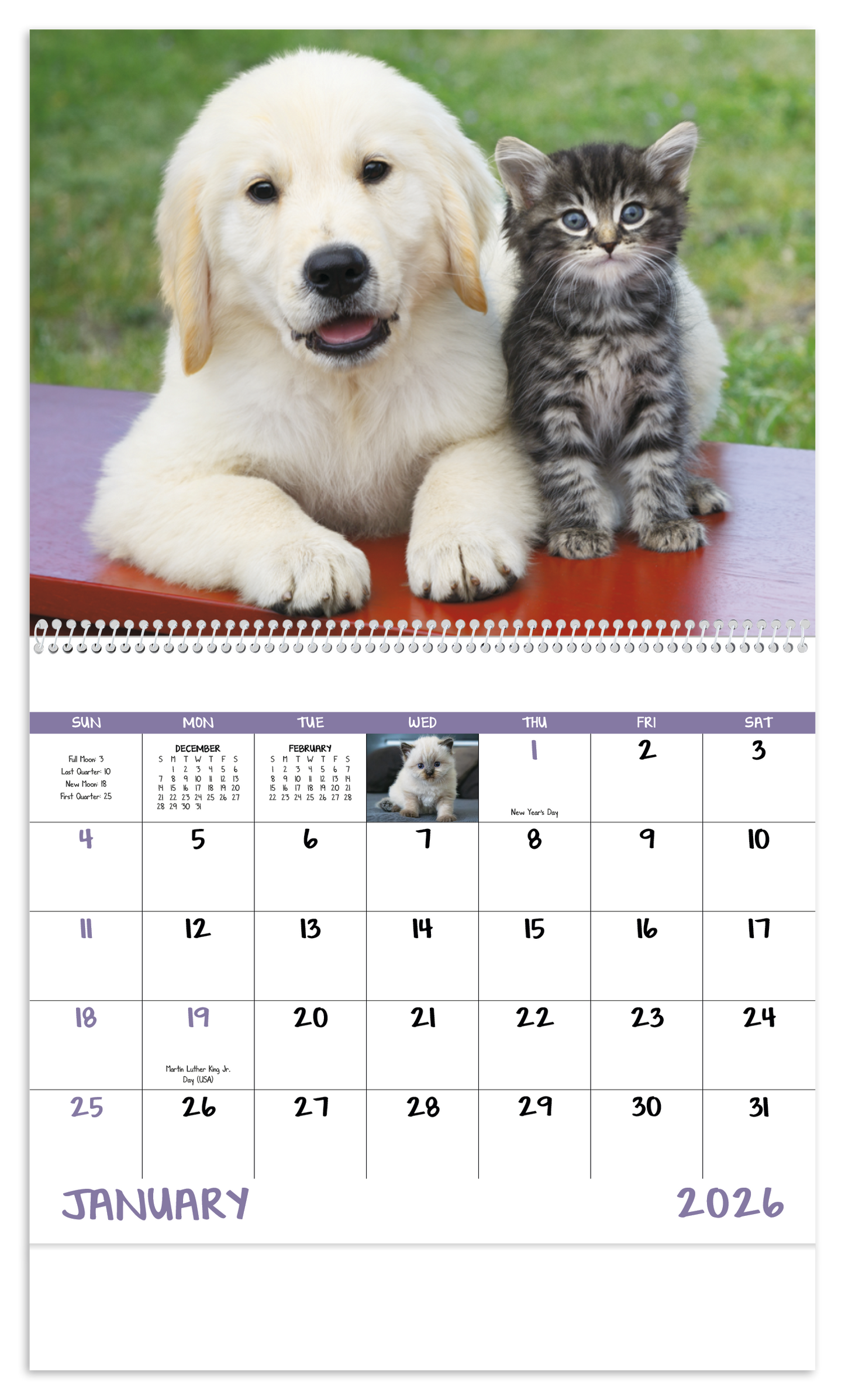 Good Value Puppies Kittens Spiral Calendar-7007