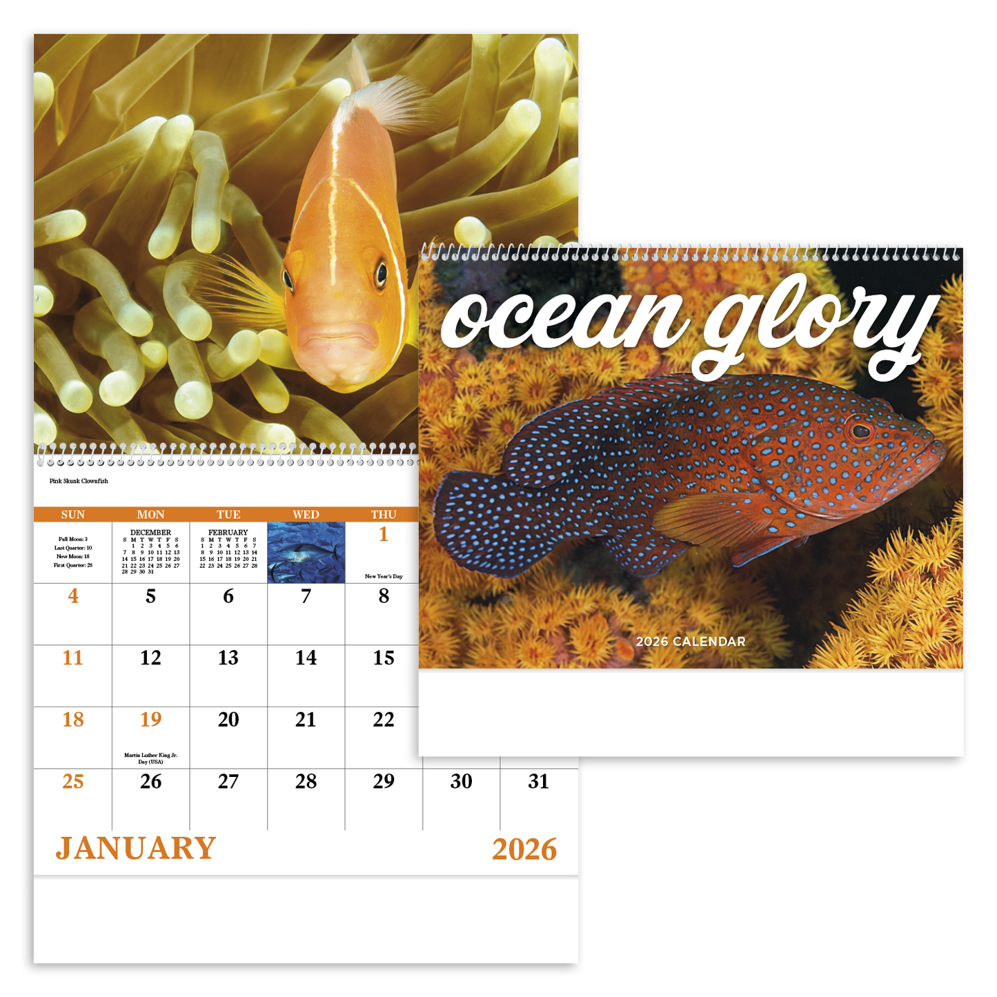 Good Value Ocean Glory Spiral Calendar-7017