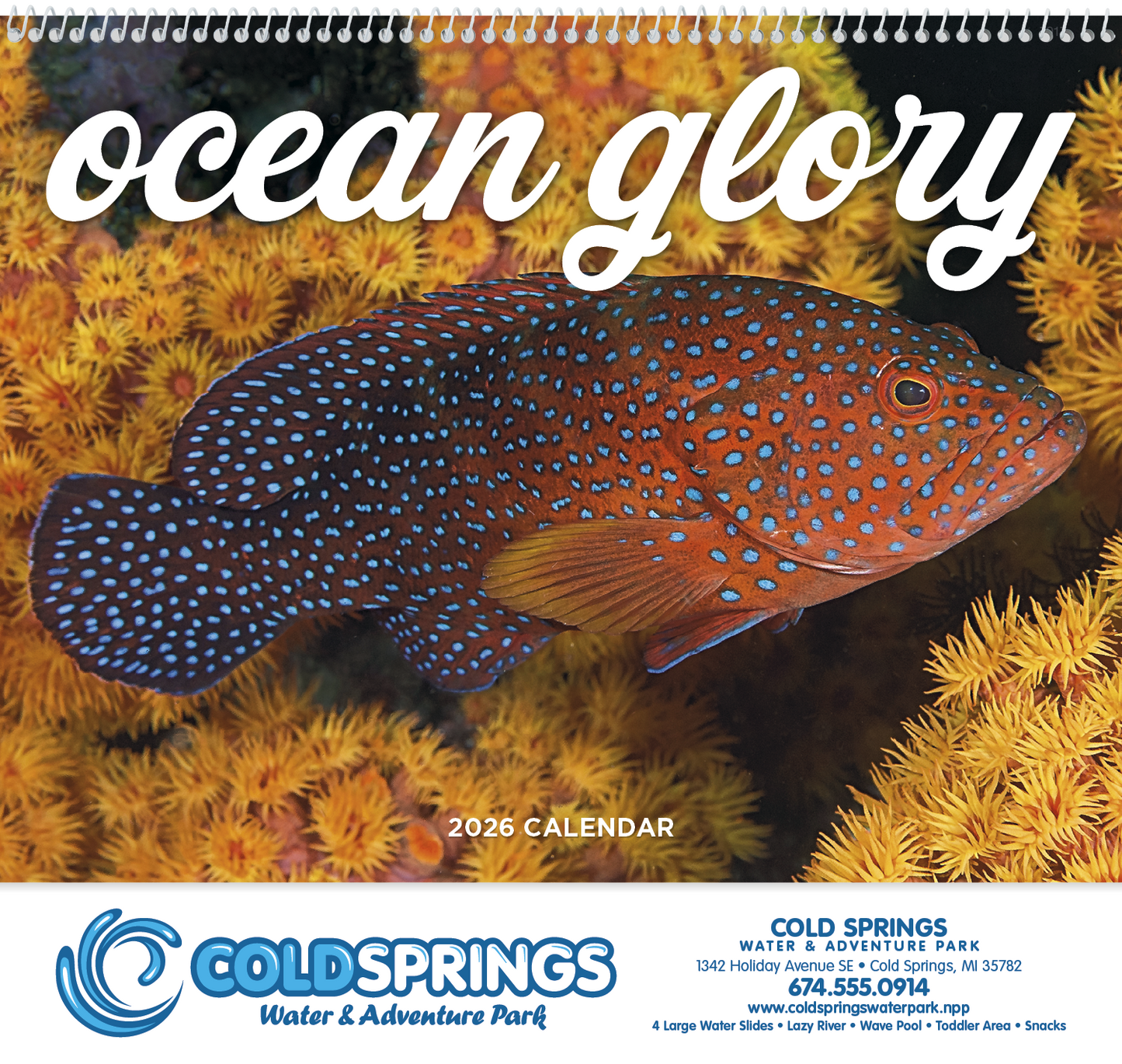 Good Value Ocean Glory Spiral Calendar-7017