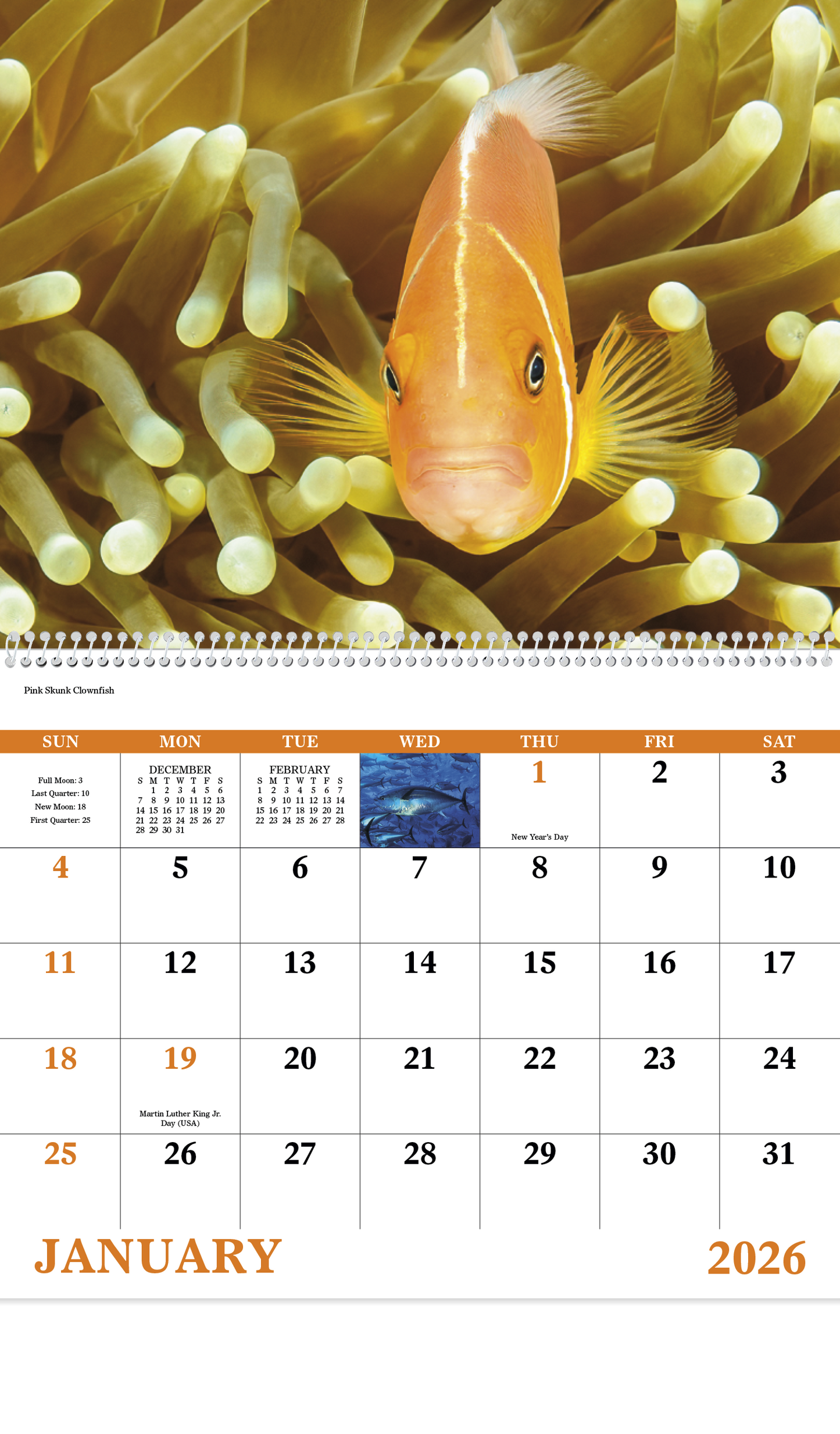 Good Value Ocean Glory Spiral Calendar-7017