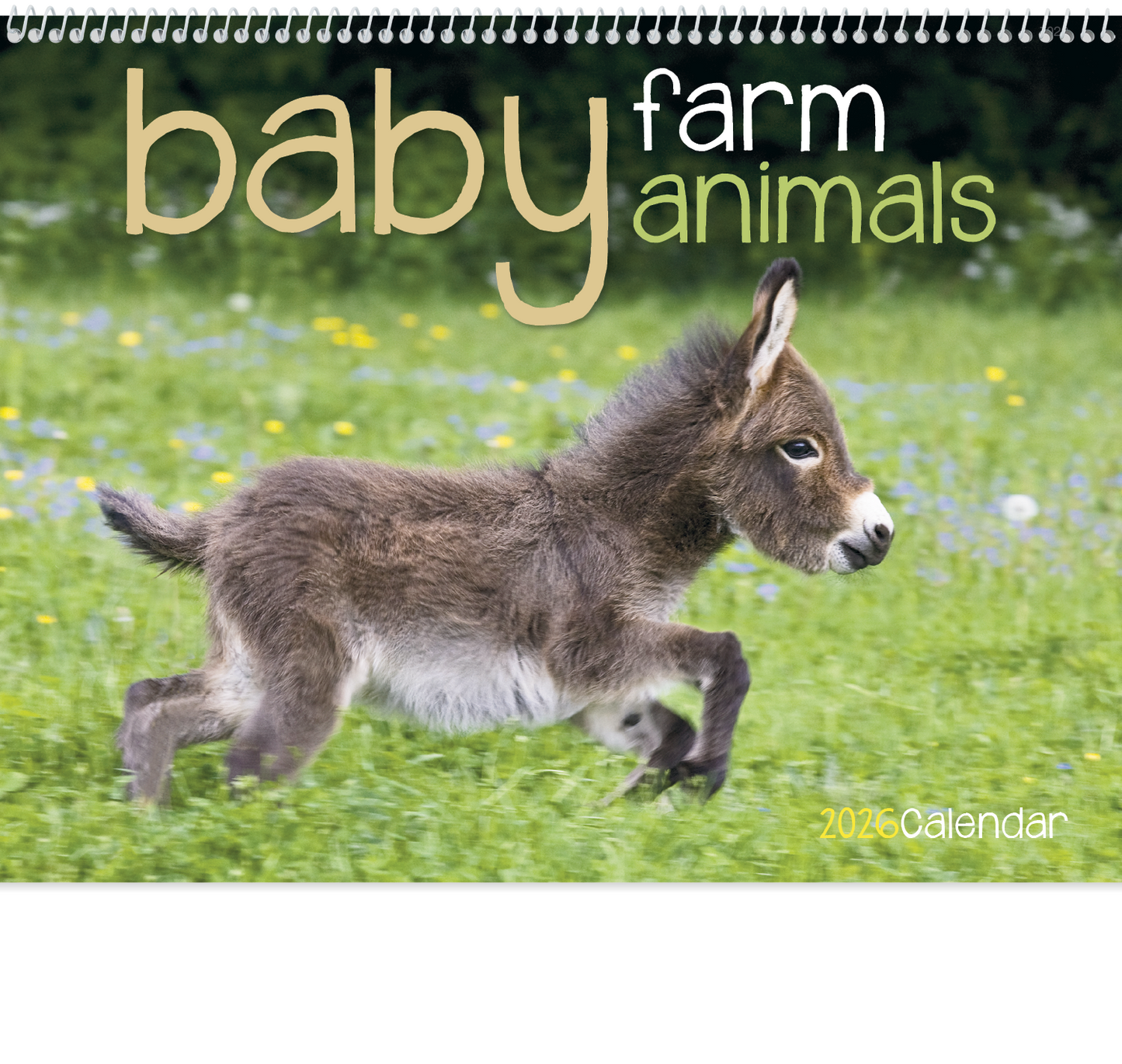 Good Value Baby Farm Animals Spiral Calendar-7020
