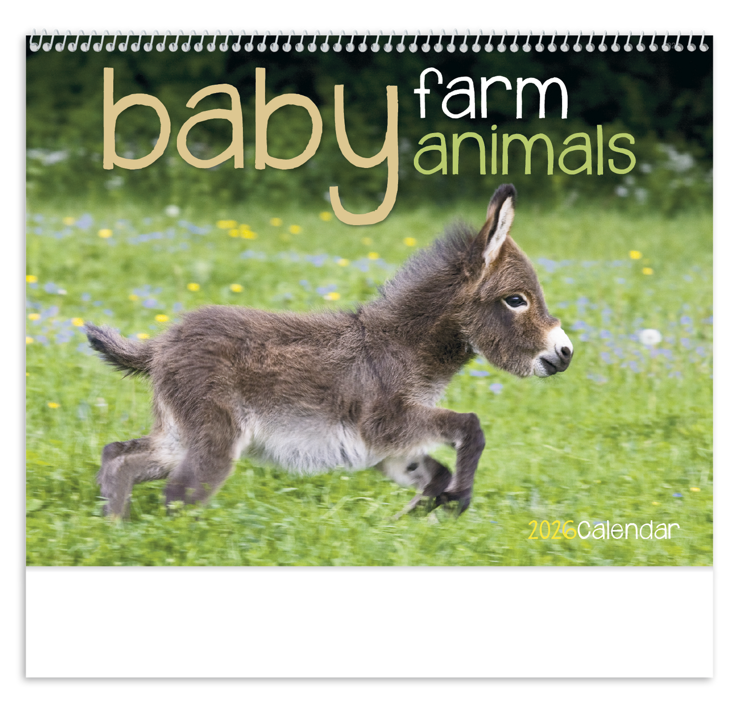Good Value Baby Farm Animals Spiral Calendar-7020