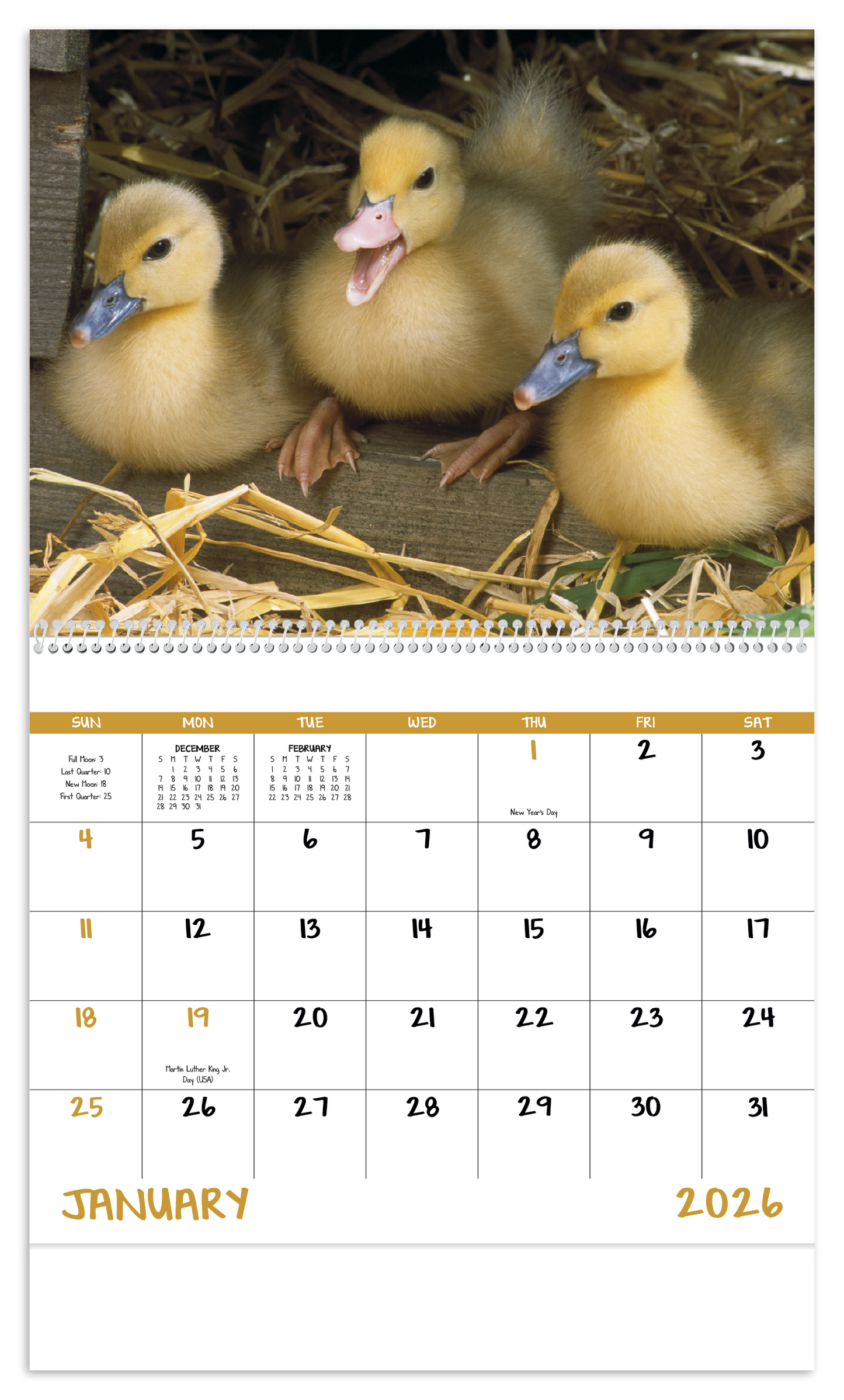 Good Value Baby Farm Animals Spiral Calendar-7020