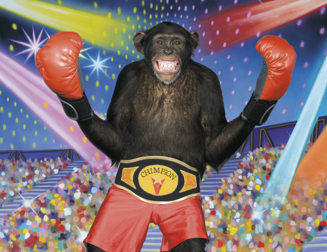 Good Value Monkey Mischief Spiral Calendar-7033