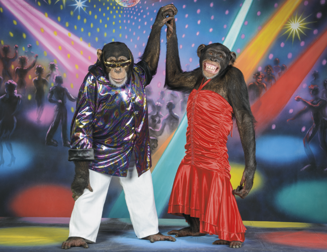 Good Value Monkey Mischief Spiral Calendar-7033