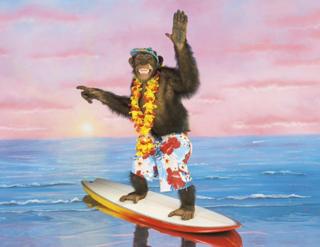 Good Value Monkey Mischief Spiral Calendar-7033