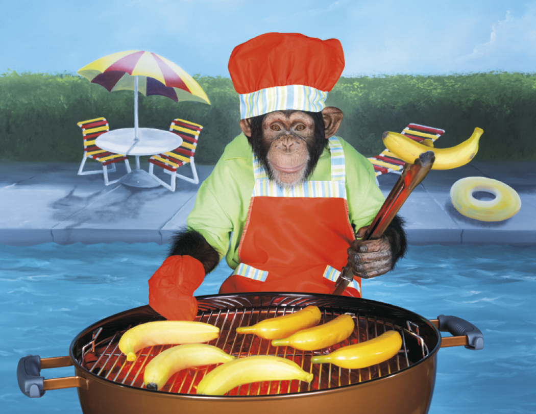Good Value Monkey Mischief Spiral Calendar-7033