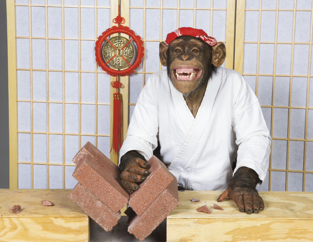 Good Value Monkey Mischief Spiral Calendar-7033