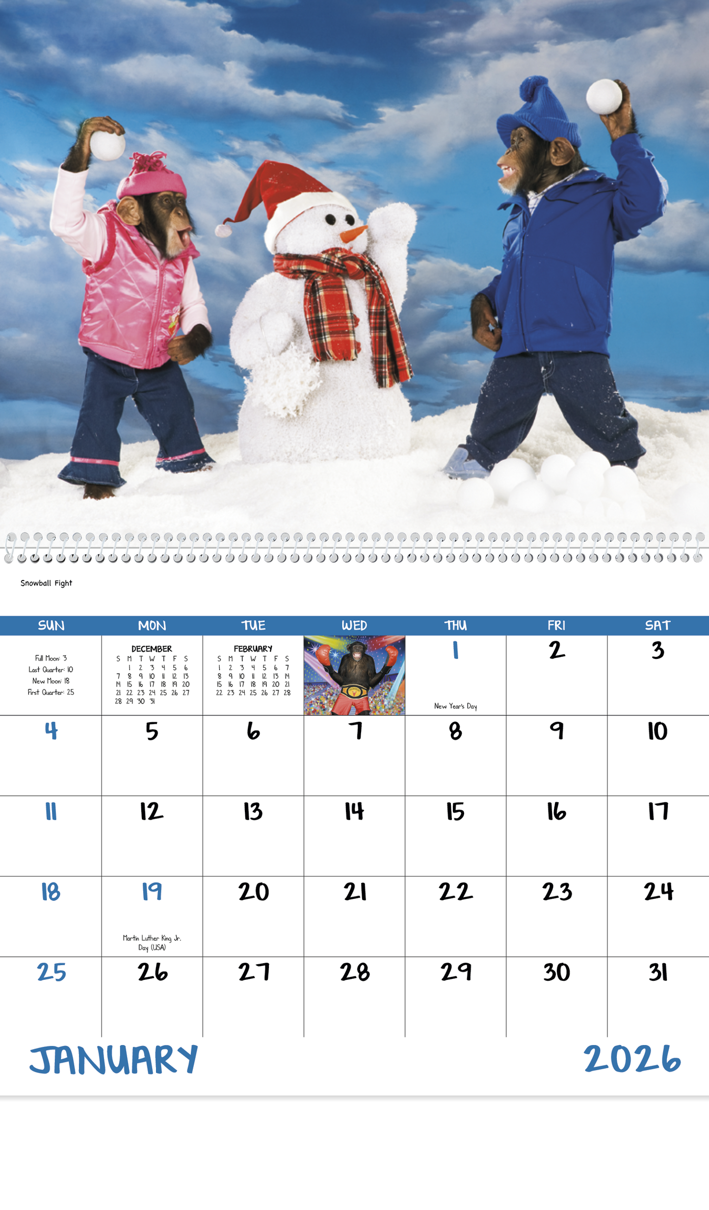 Good Value Monkey Mischief Spiral Calendar-7033
