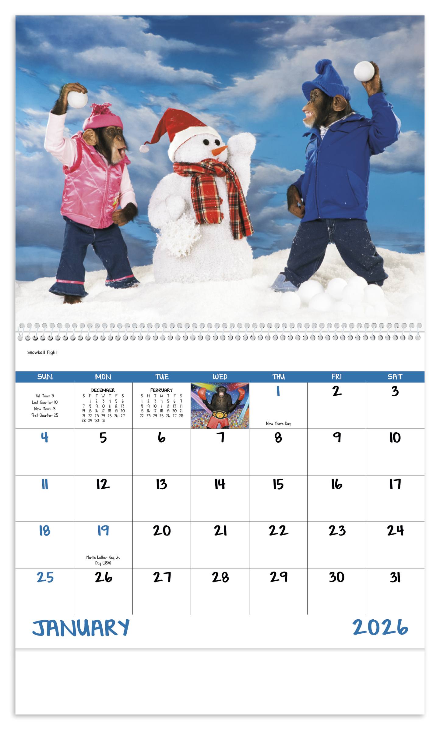 Good Value Monkey Mischief Spiral Calendar-7033