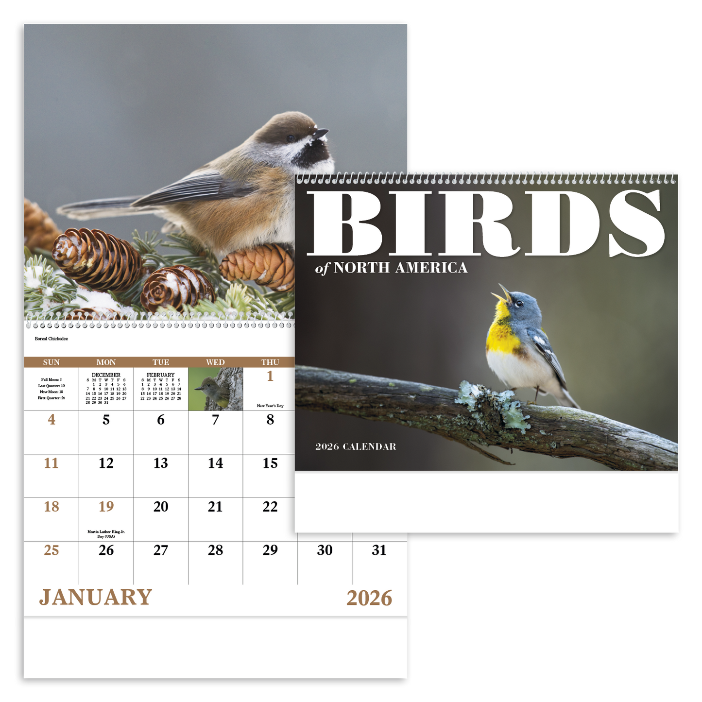 Good Value Birds of North America Spiral Calendar-7036