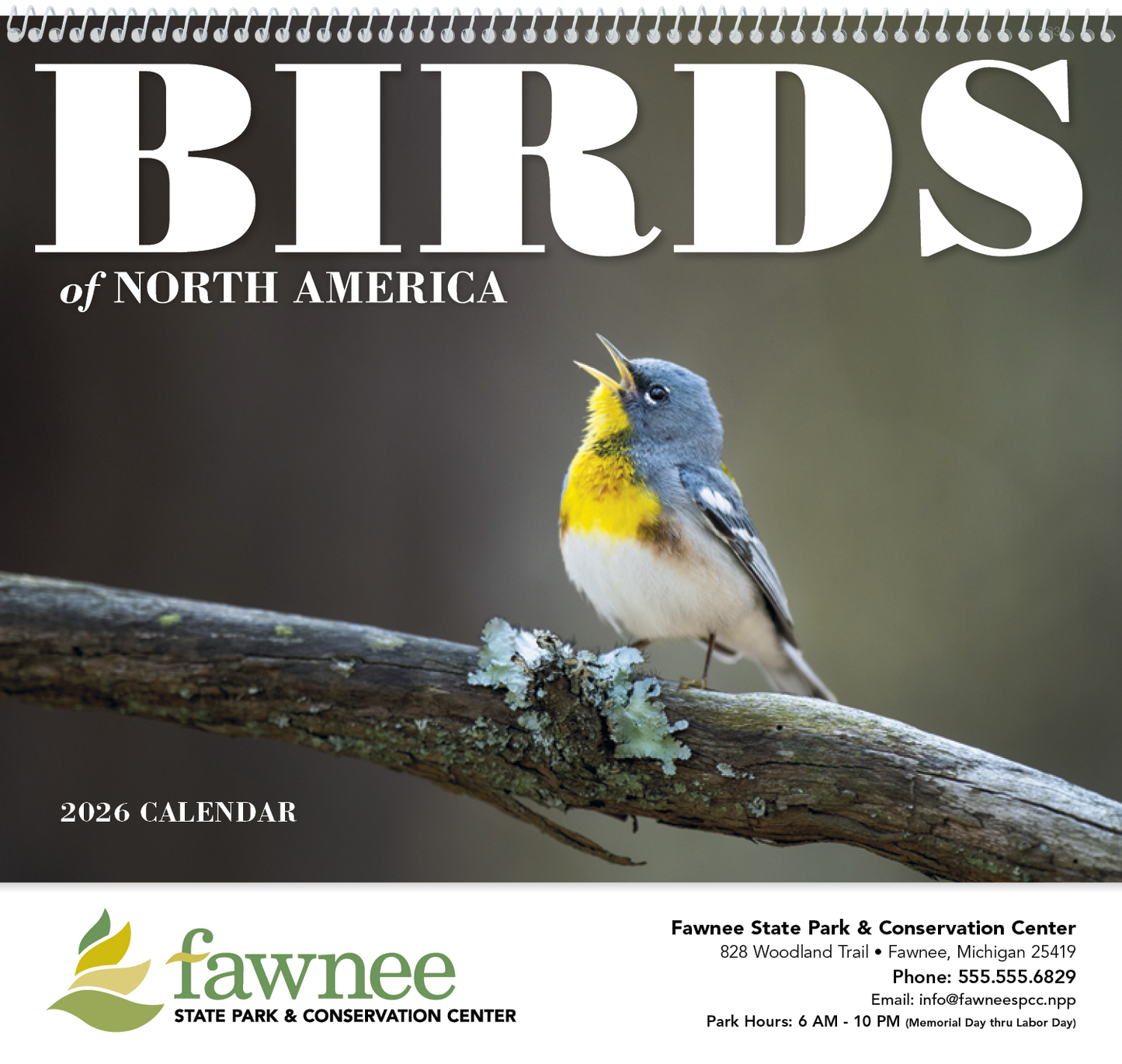 Good Value Birds of North America Spiral Calendar-7036
