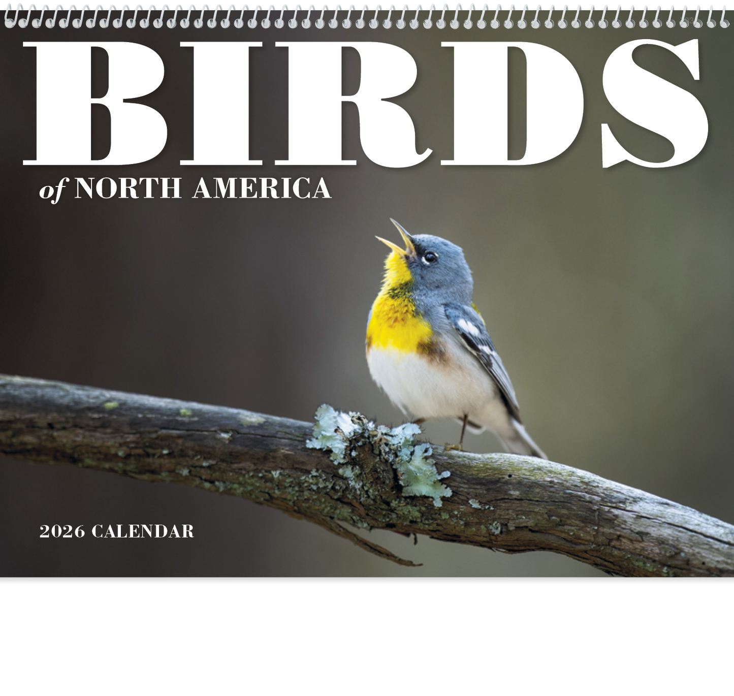 Good Value Birds of North America Spiral Calendar-7036
