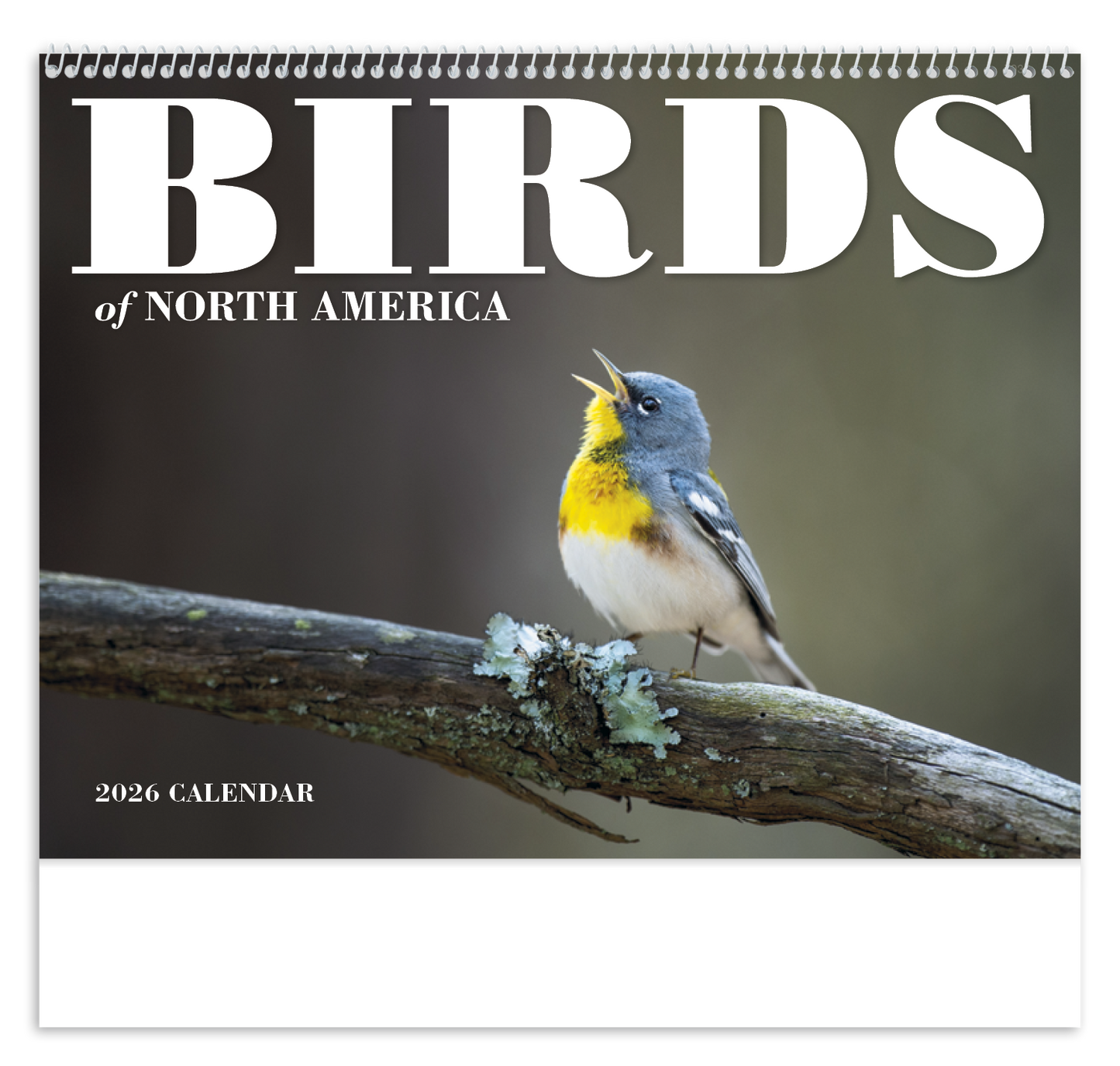 Good Value Birds of North America Spiral Calendar-7036