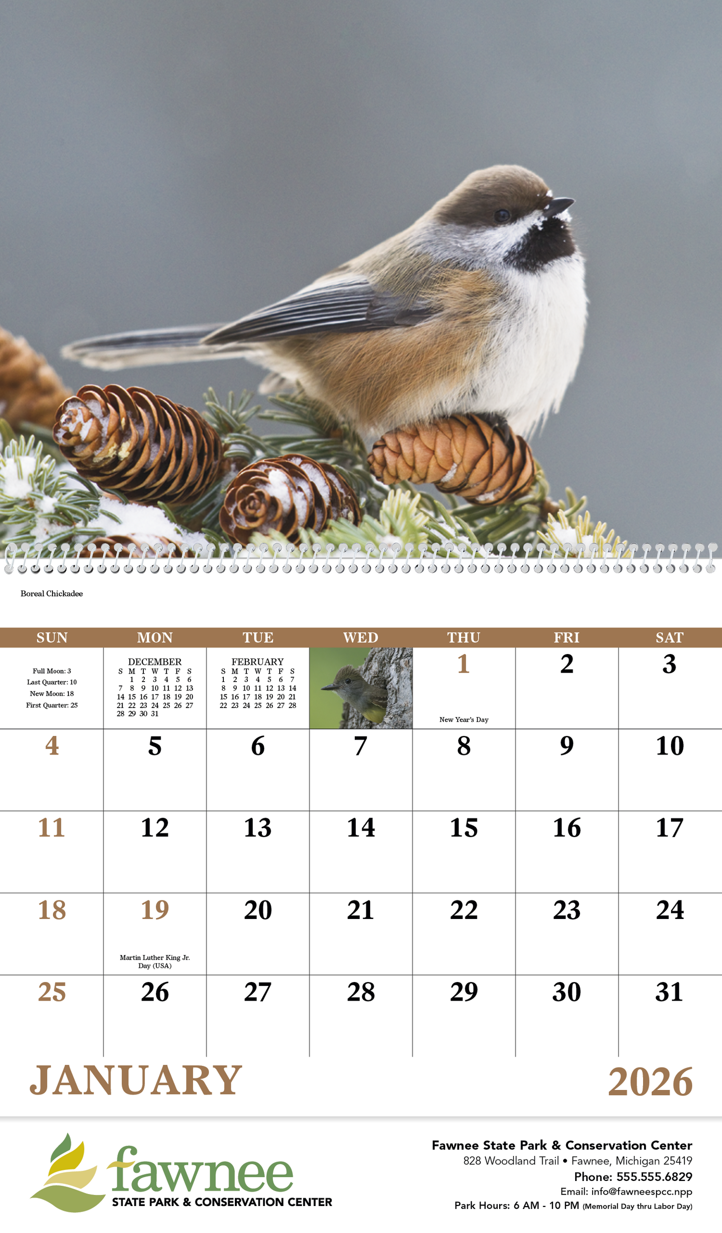 Good Value Birds of North America Spiral Calendar-7036