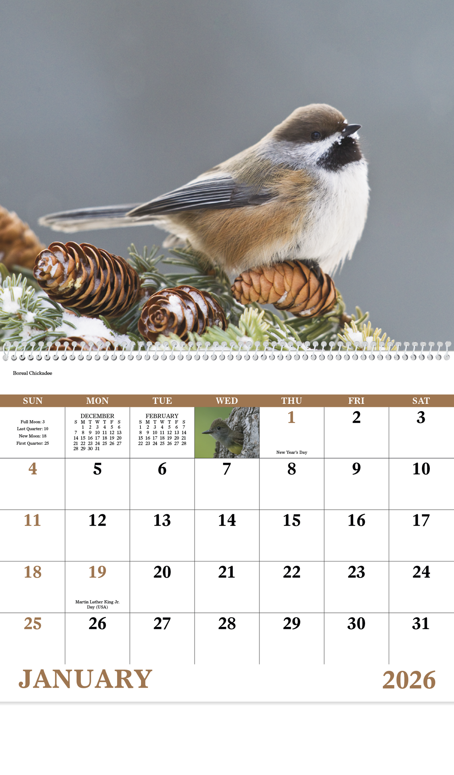 Good Value Birds of North America Spiral Calendar-7036