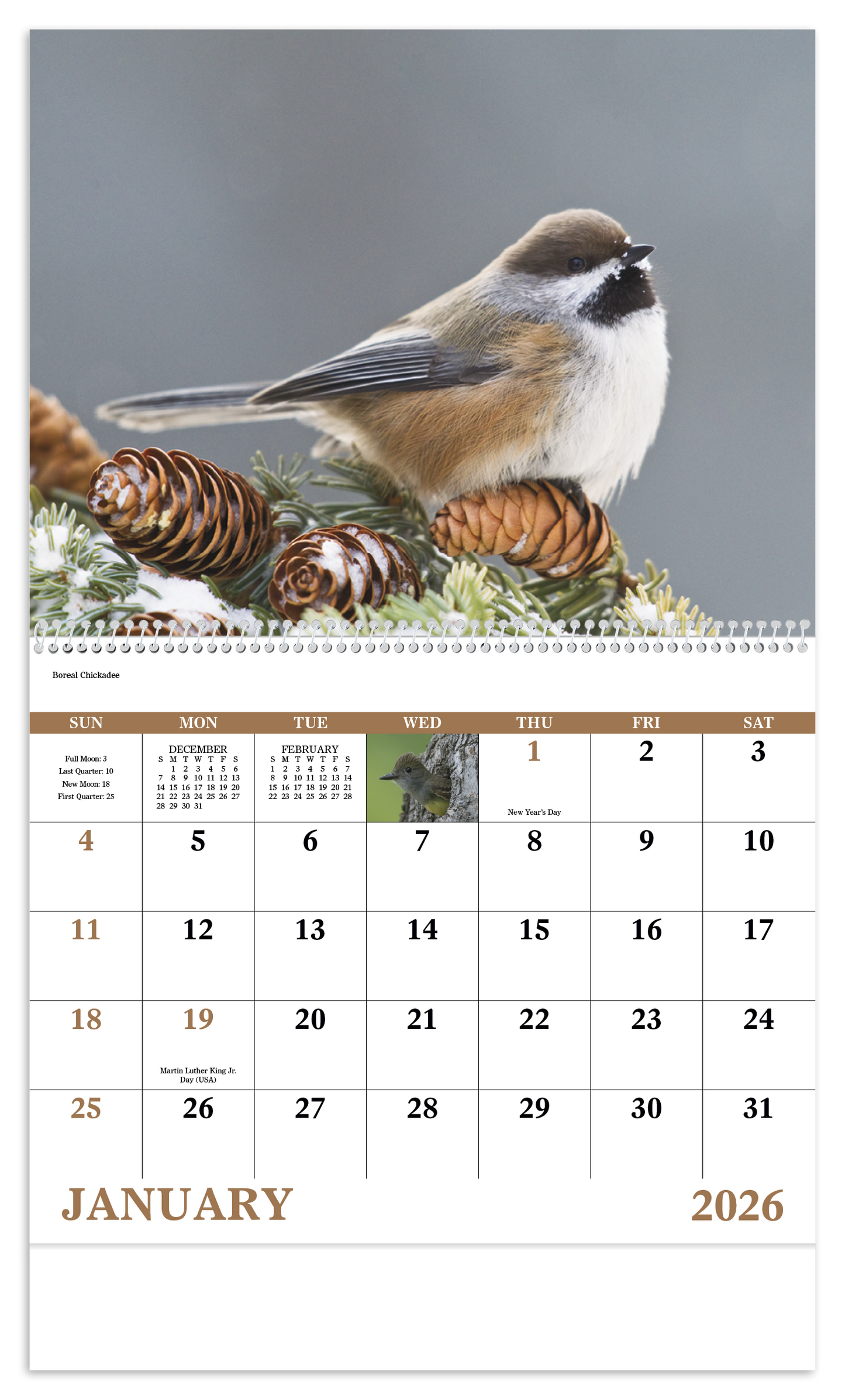 Good Value Birds of North America Spiral Calendar-7036