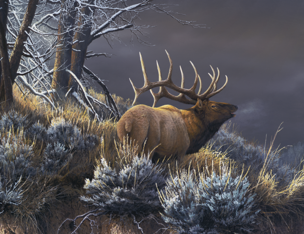 Good Value Wildlife Canvas Spiral Calendar-7038
