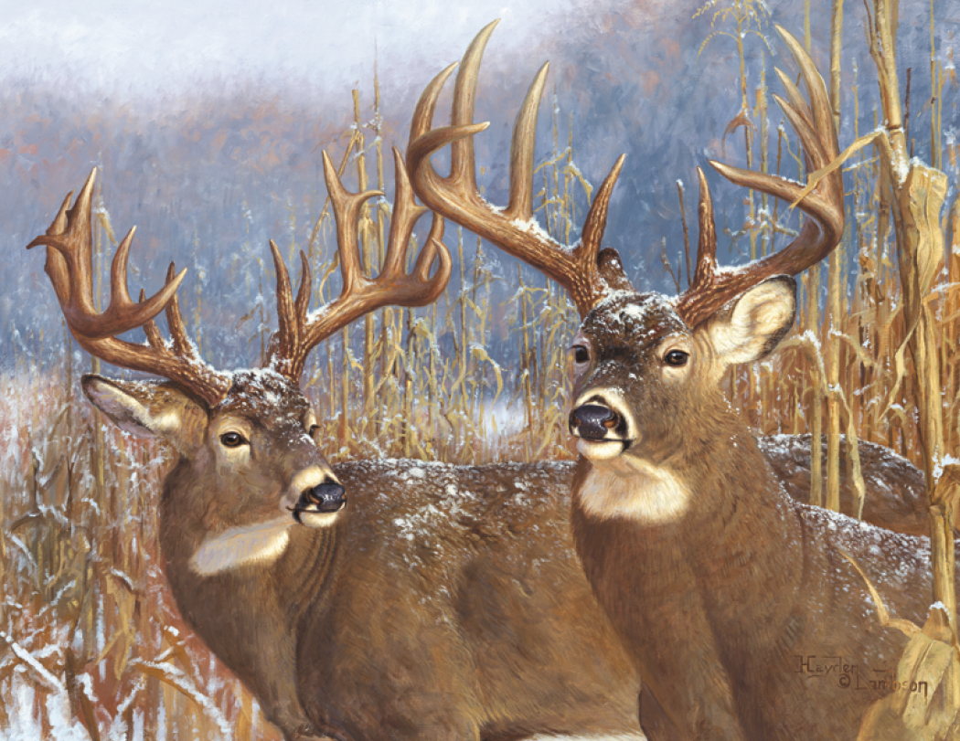 Good Value Wildlife Canvas Spiral Calendar-7038
