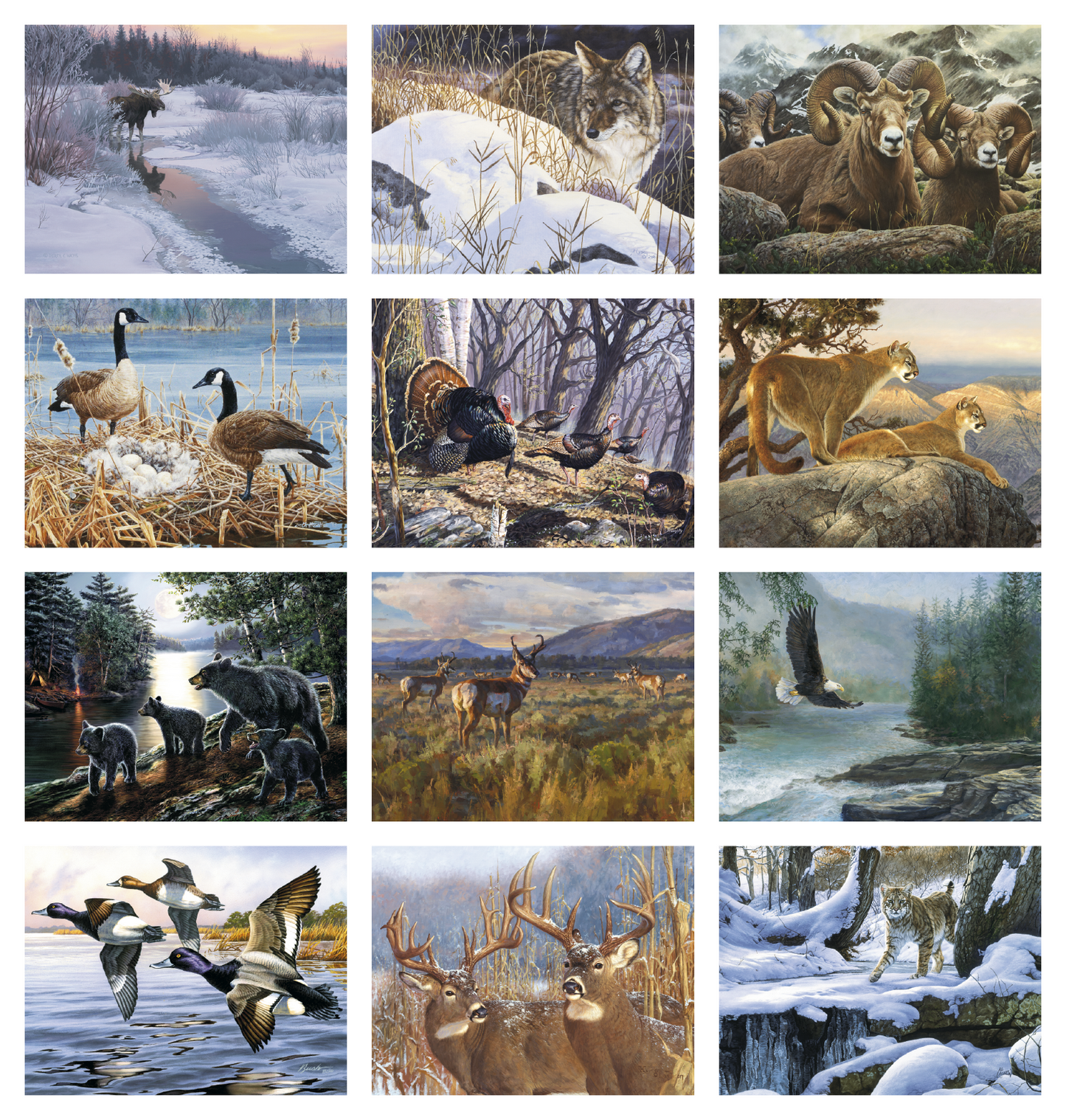 Good Value Wildlife Canvas Spiral Calendar-7038