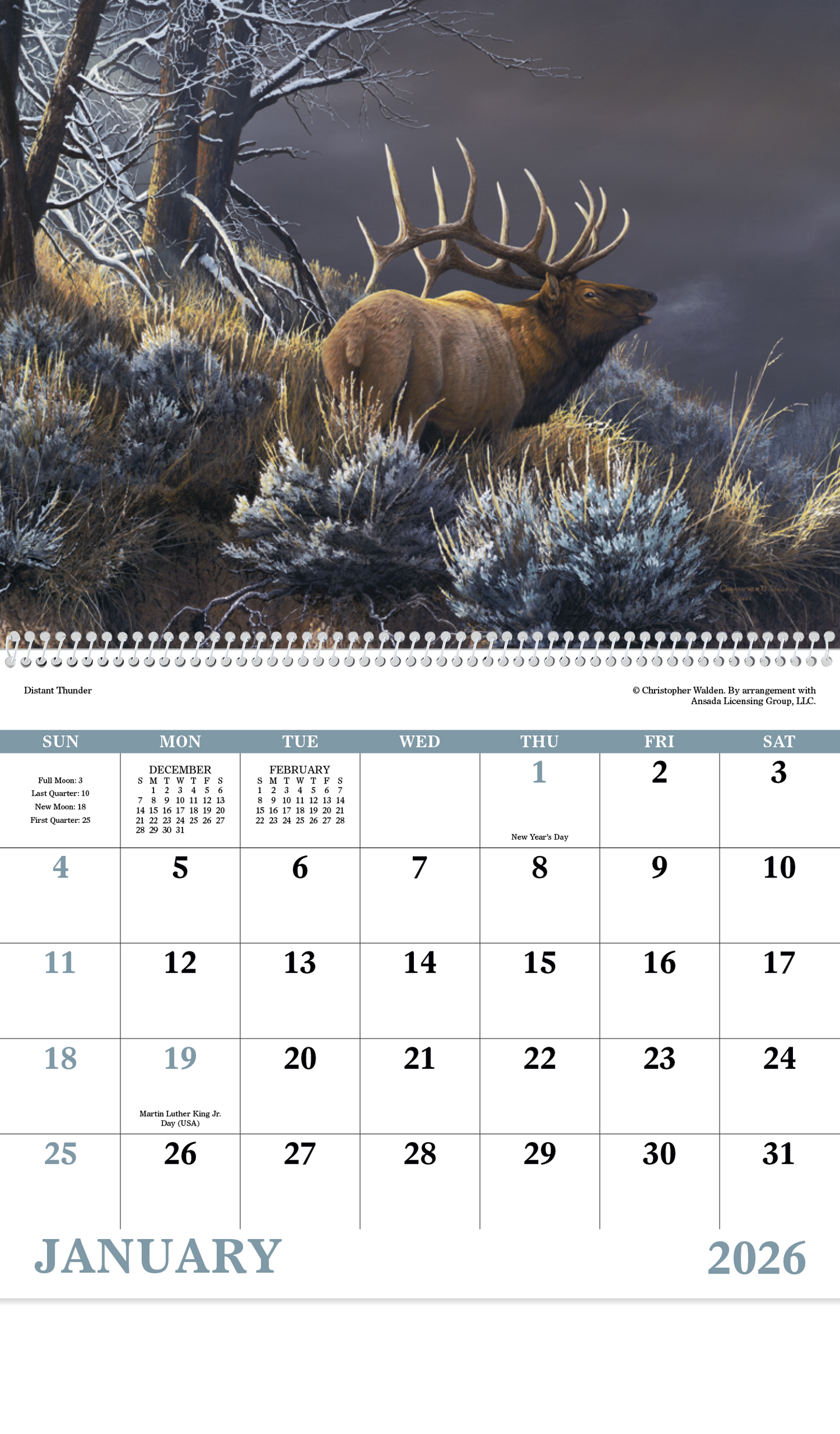 Good Value Wildlife Canvas Spiral Calendar-7038